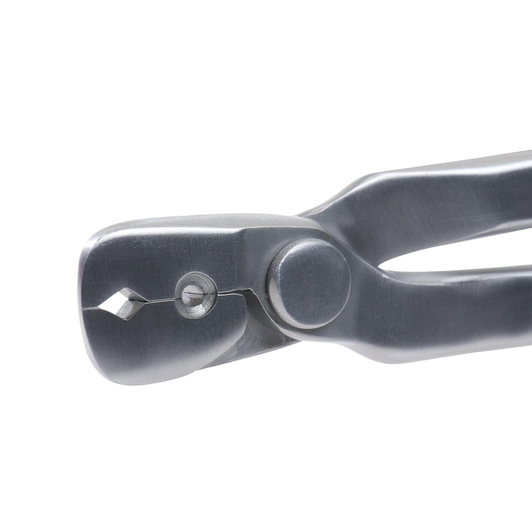 product/e/k/ekkia_700_926_det1_1.jpg