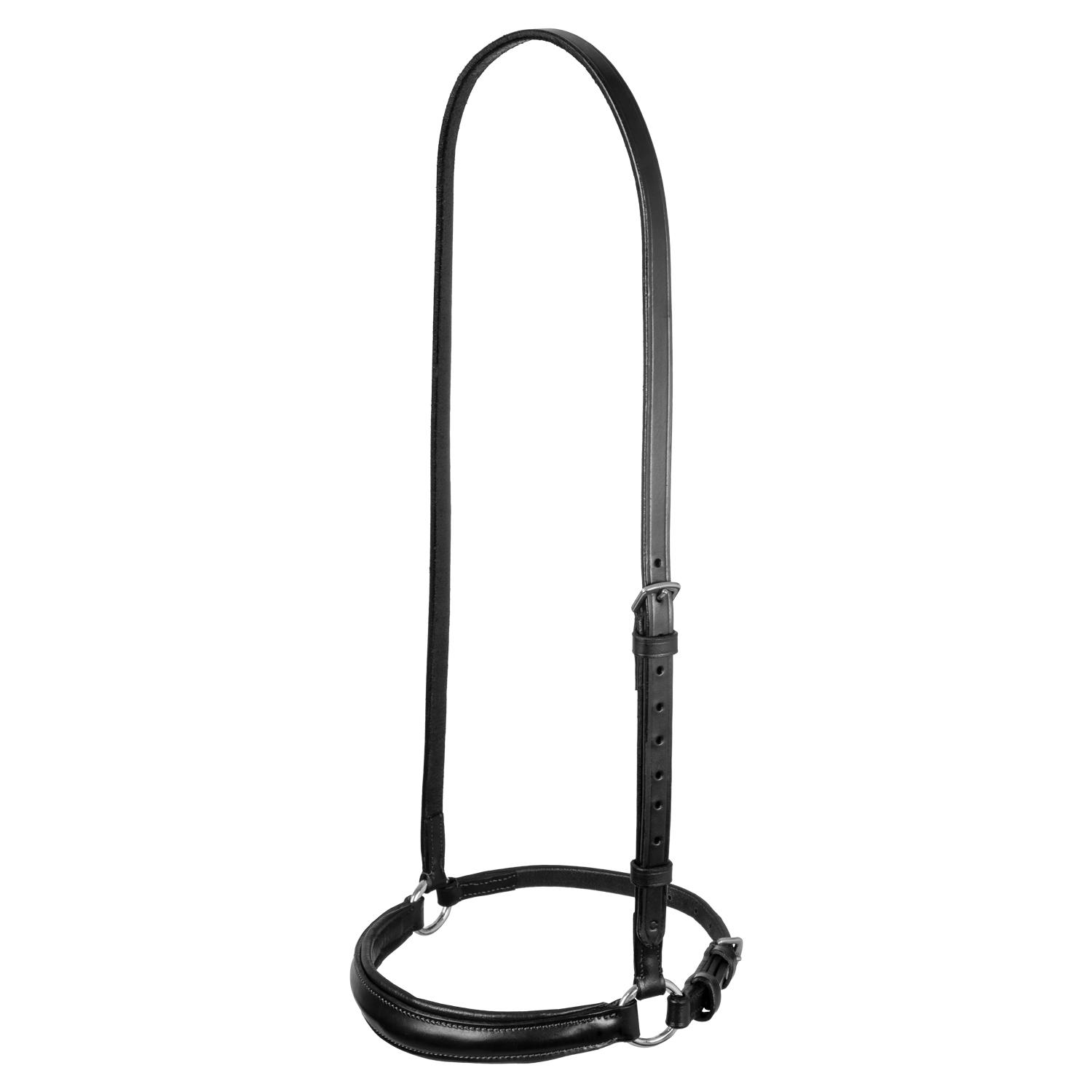 product/e/q/equestro_br00657-black_noir_1.jpg