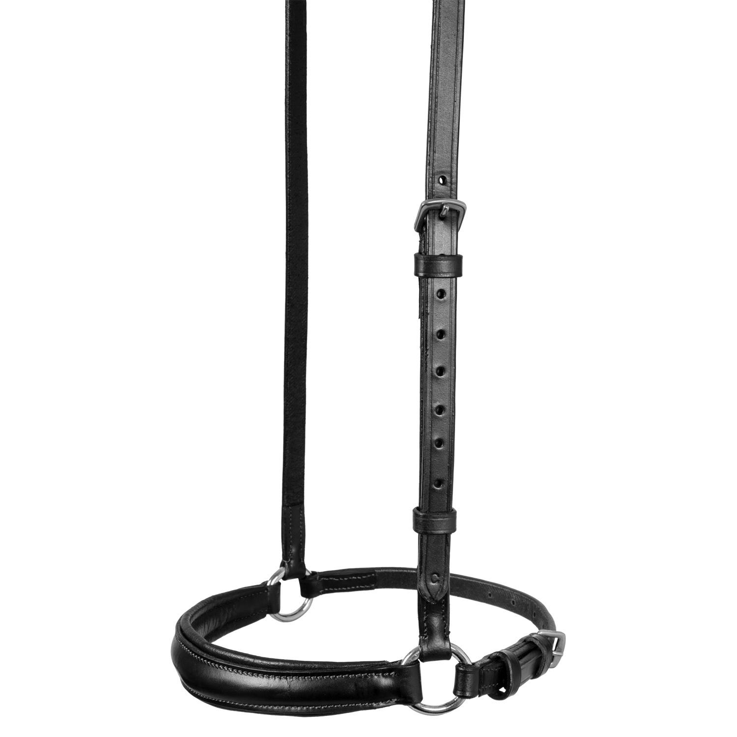 product/e/q/equestro_br00657-black_noir_2.jpg