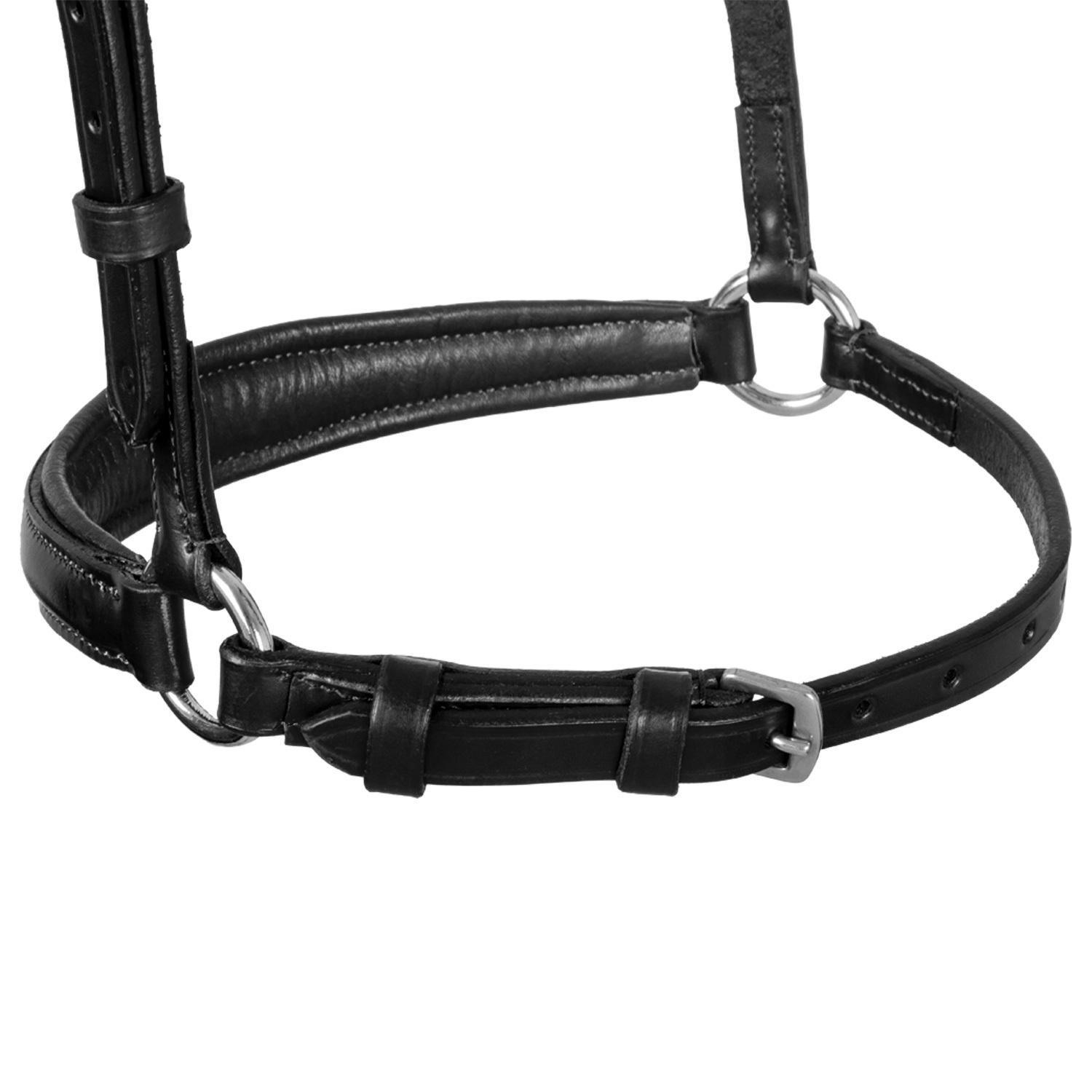 product/e/q/equestro_br00657-black_noir_4.jpg