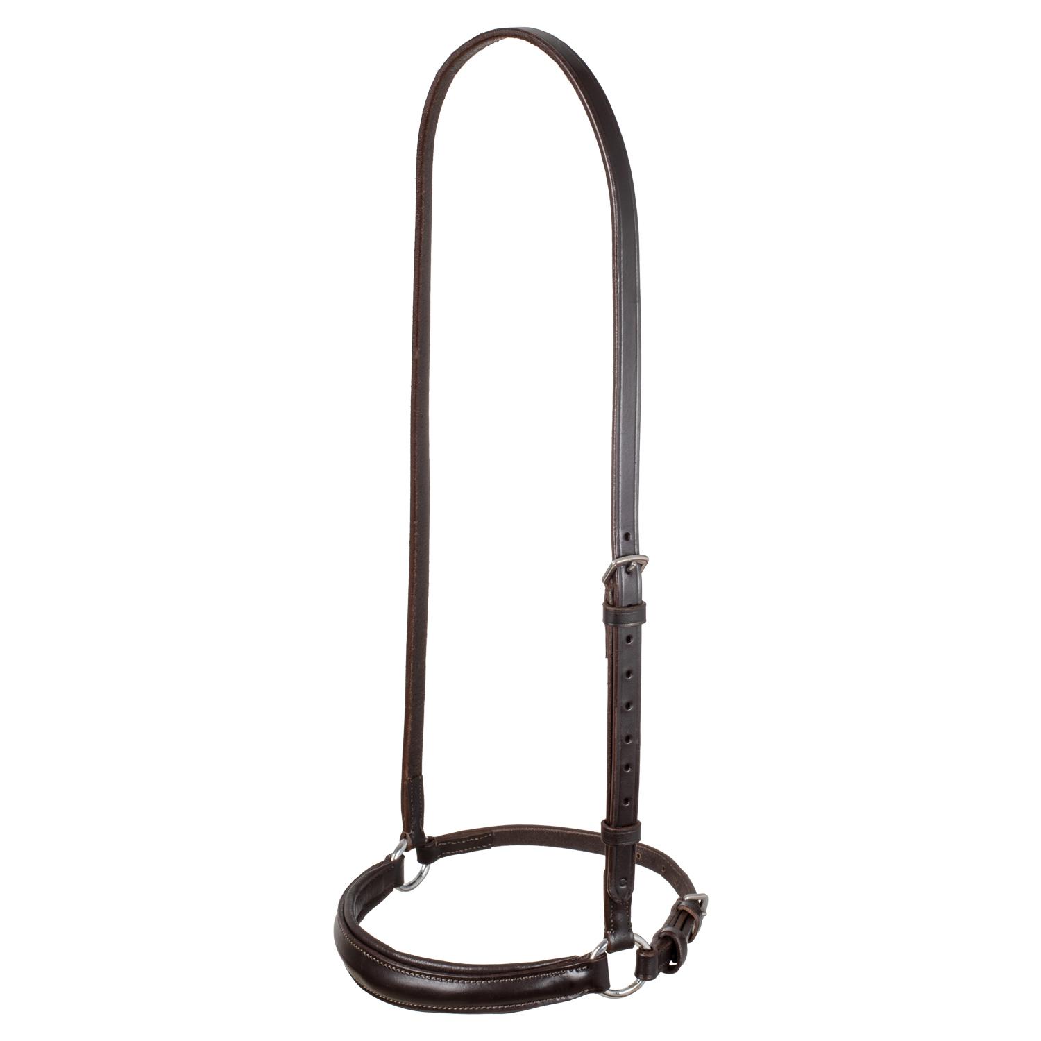 product/e/q/equestro_br00657-darkbrown_marron_1.jpg