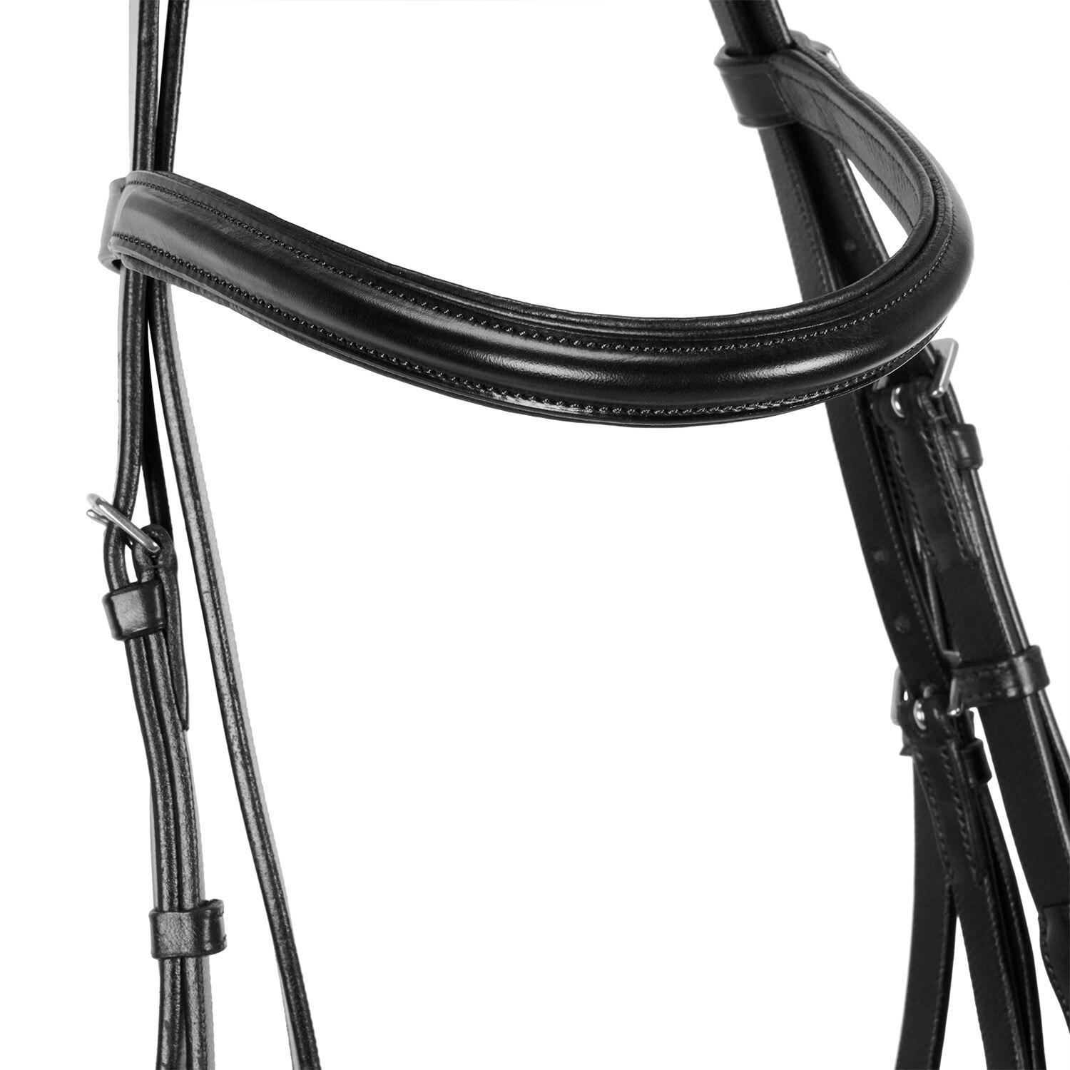 product/e/q/equestro_br00680a-black_black_4.jpg
