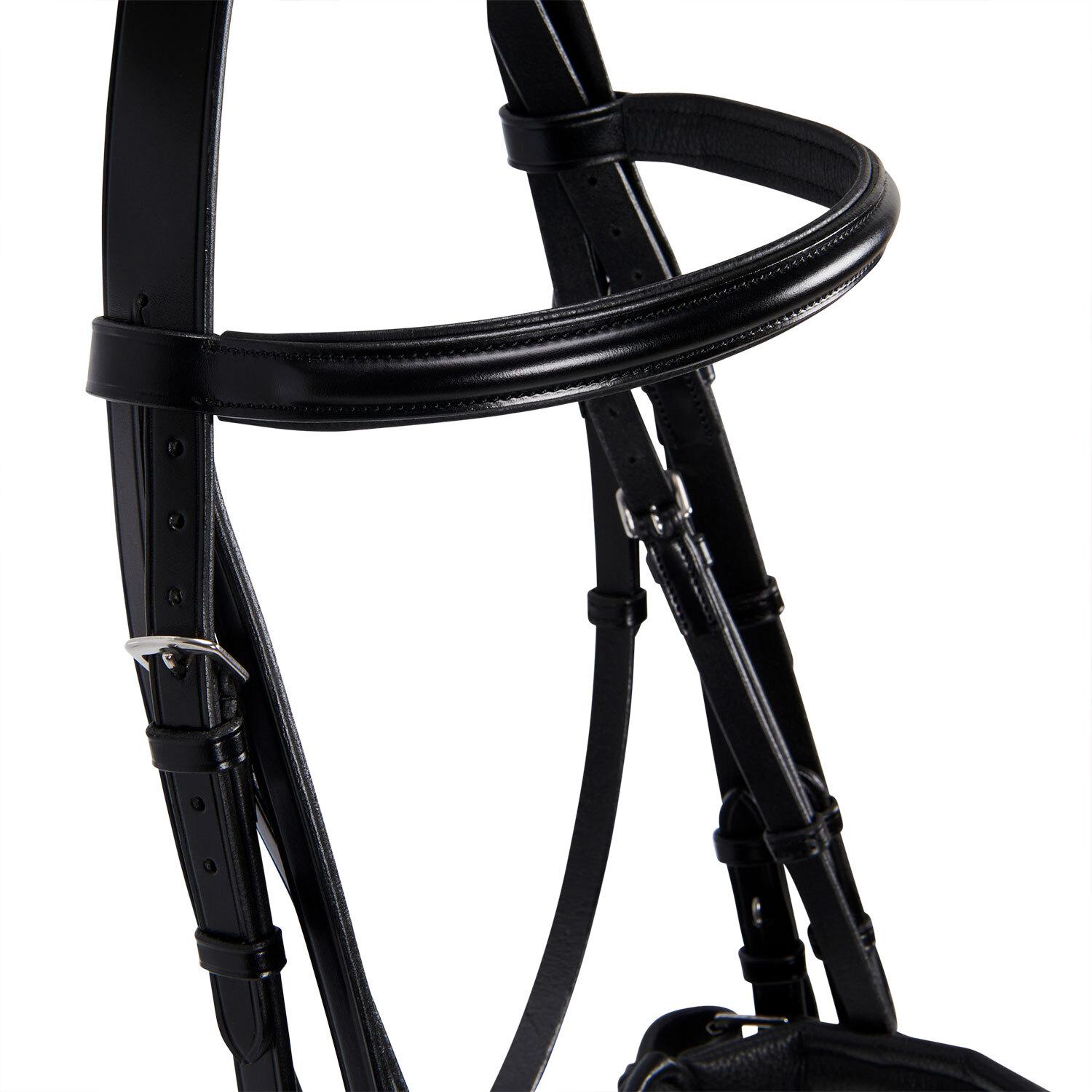 product/e/q/equestro_br00690-black_black_10.jpg