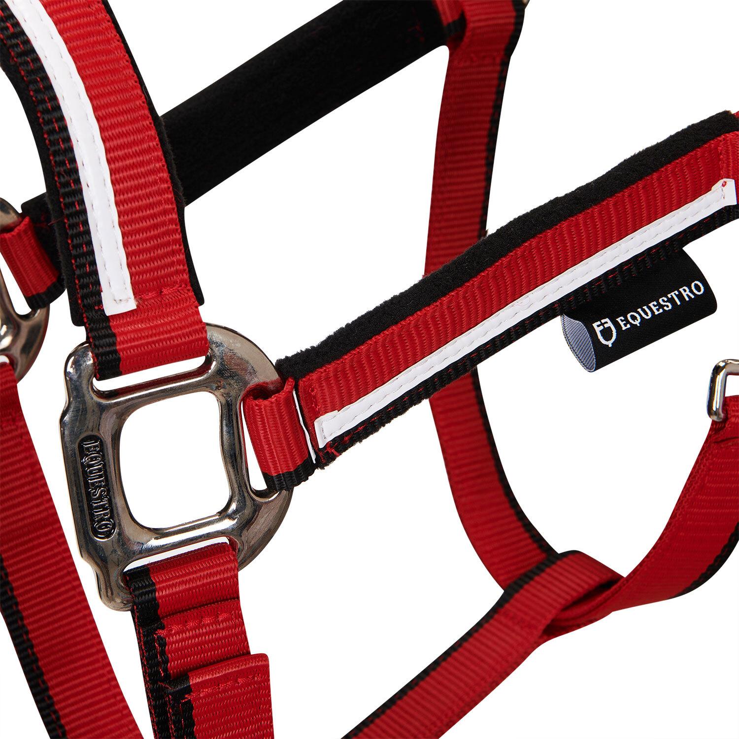 product/e/q/equestro_ca00031-red_black_red-black_2.jpg