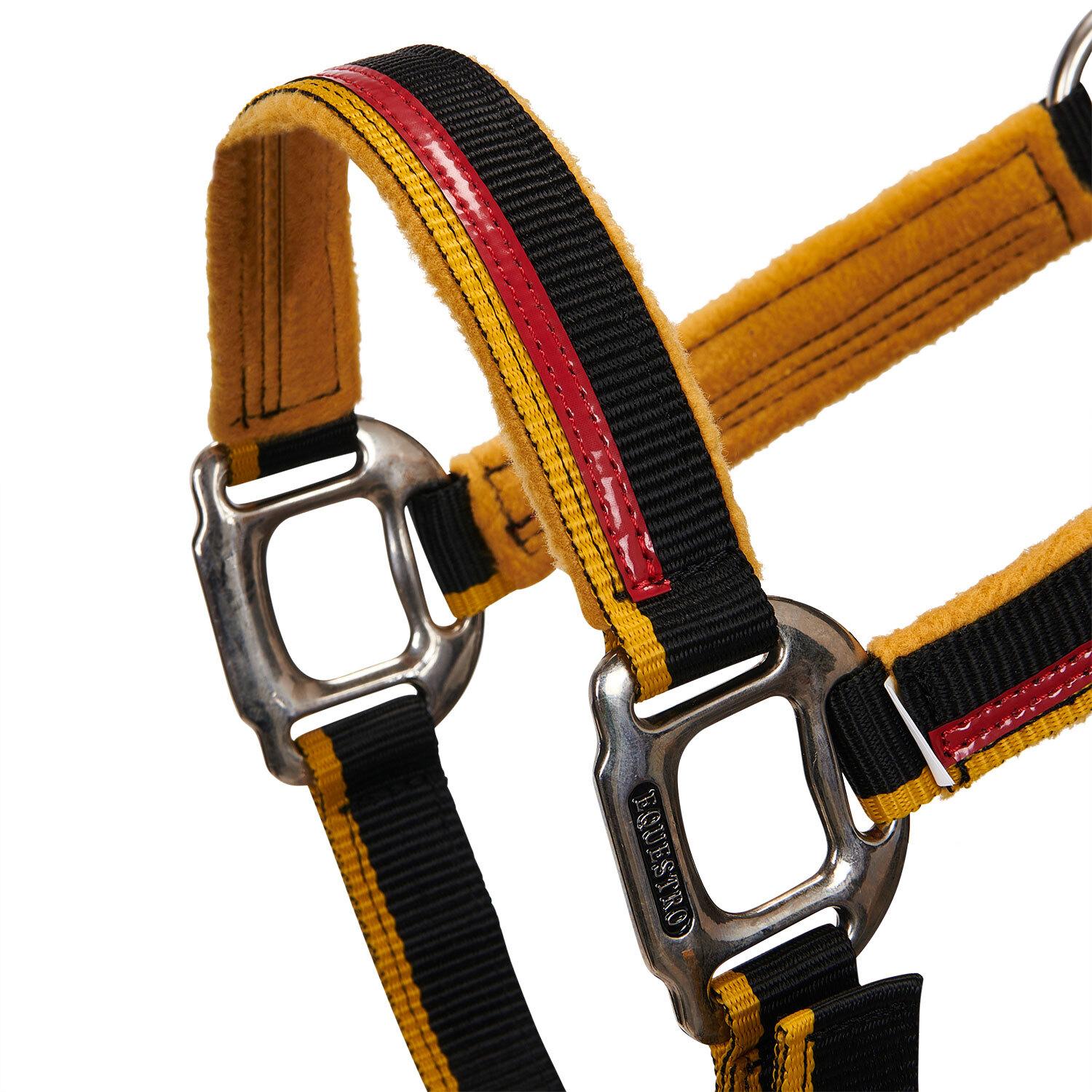 product/e/q/equestro_ca00031r-black_red_yellow_ca00031r-black-red-yellow_3.jpg