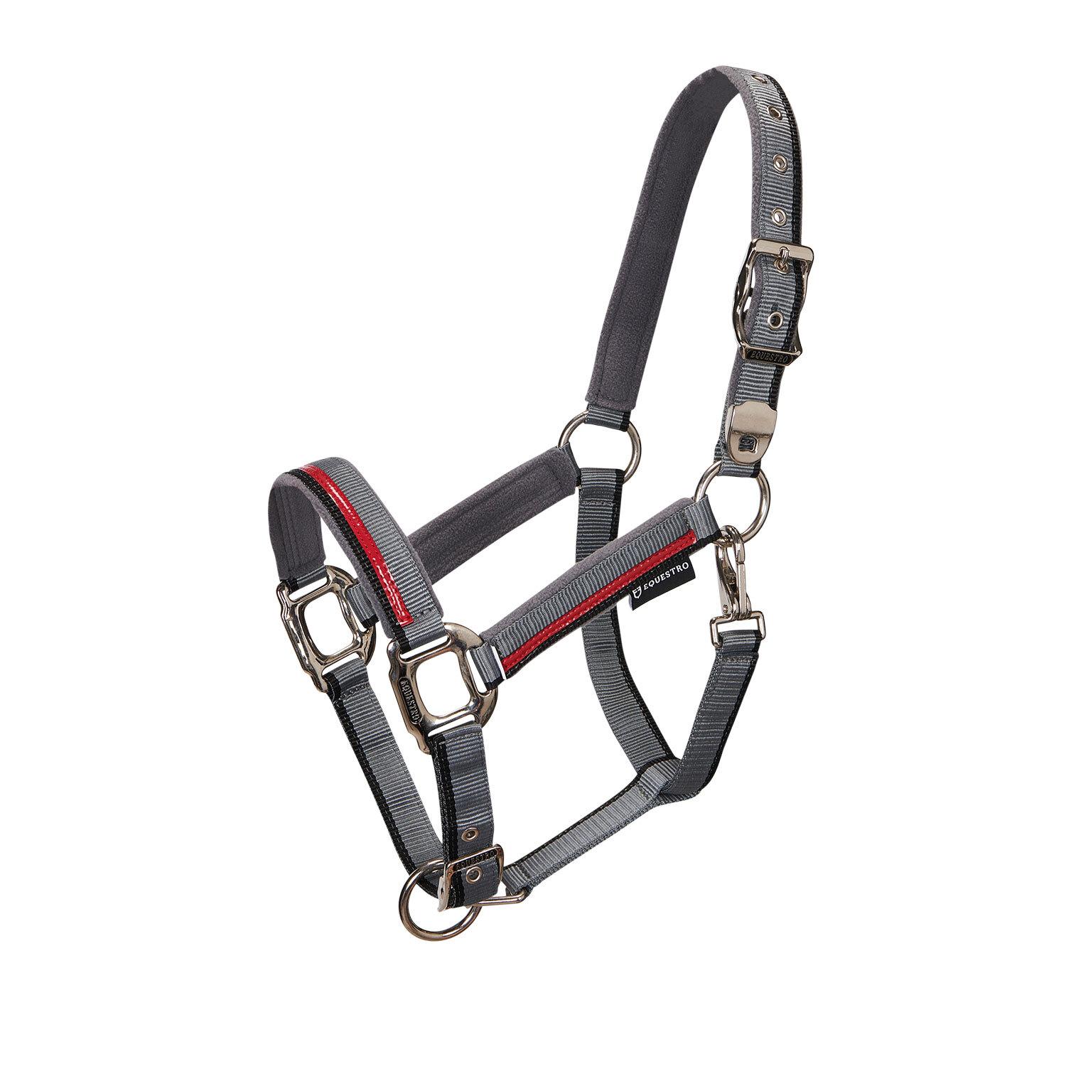 product/e/q/equestro_ca00031r-grey_red_black_ca00031r-grey-red-black_1.jpg