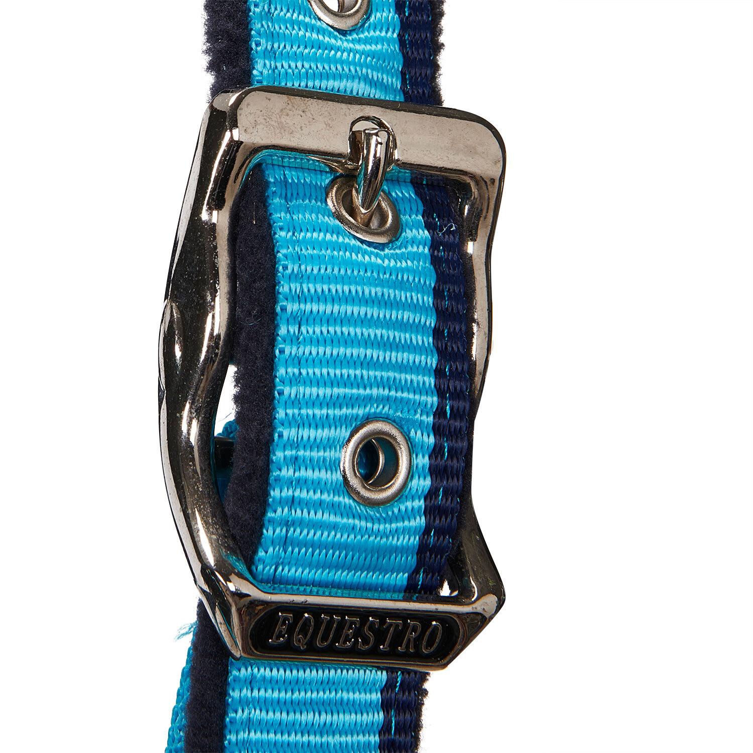 product/e/q/equestro_ca00031r-turquoise_red_navy_ca00031r-turquoise-red-navy_4.jpg