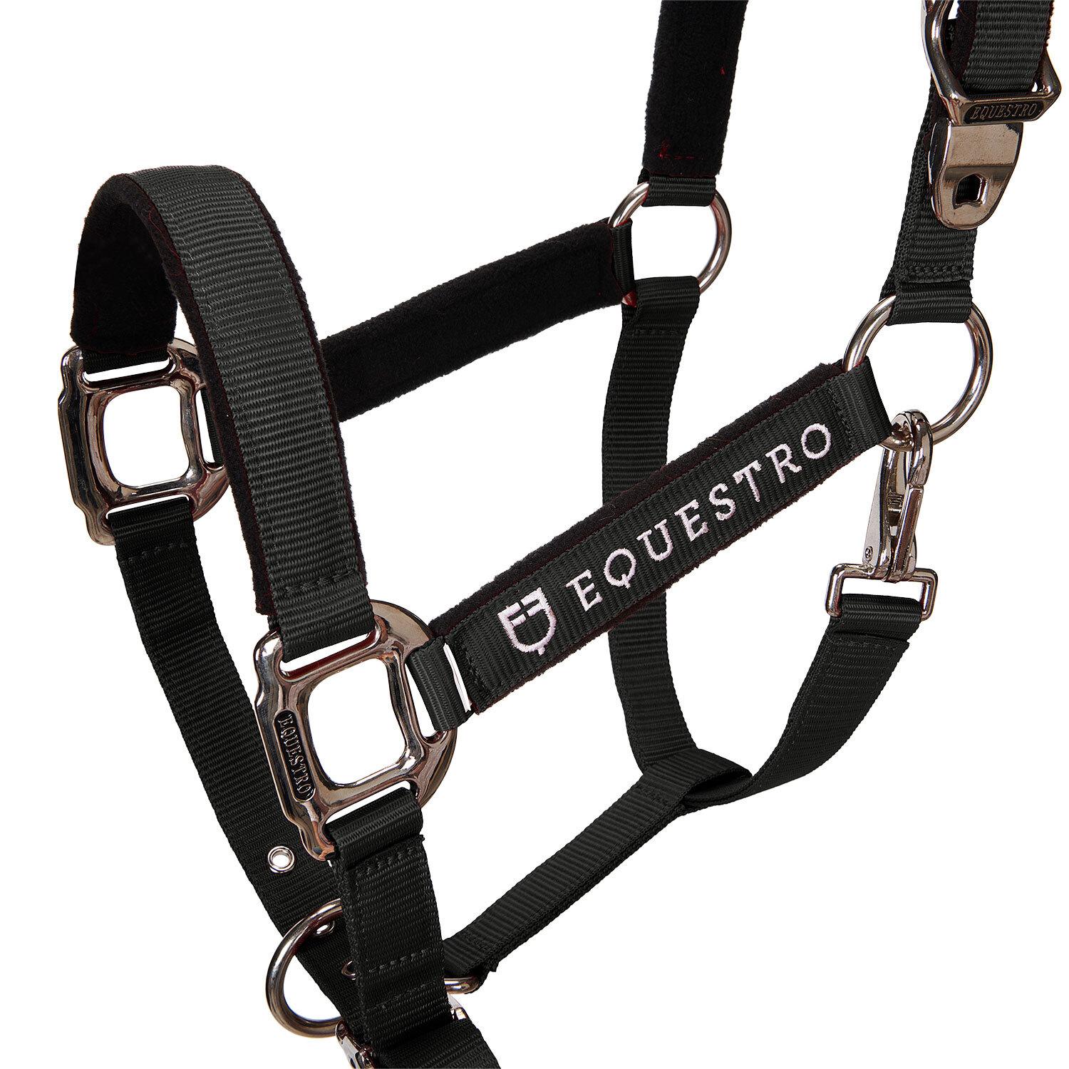product/e/q/equestro_ca00032-black_black_2.jpg
