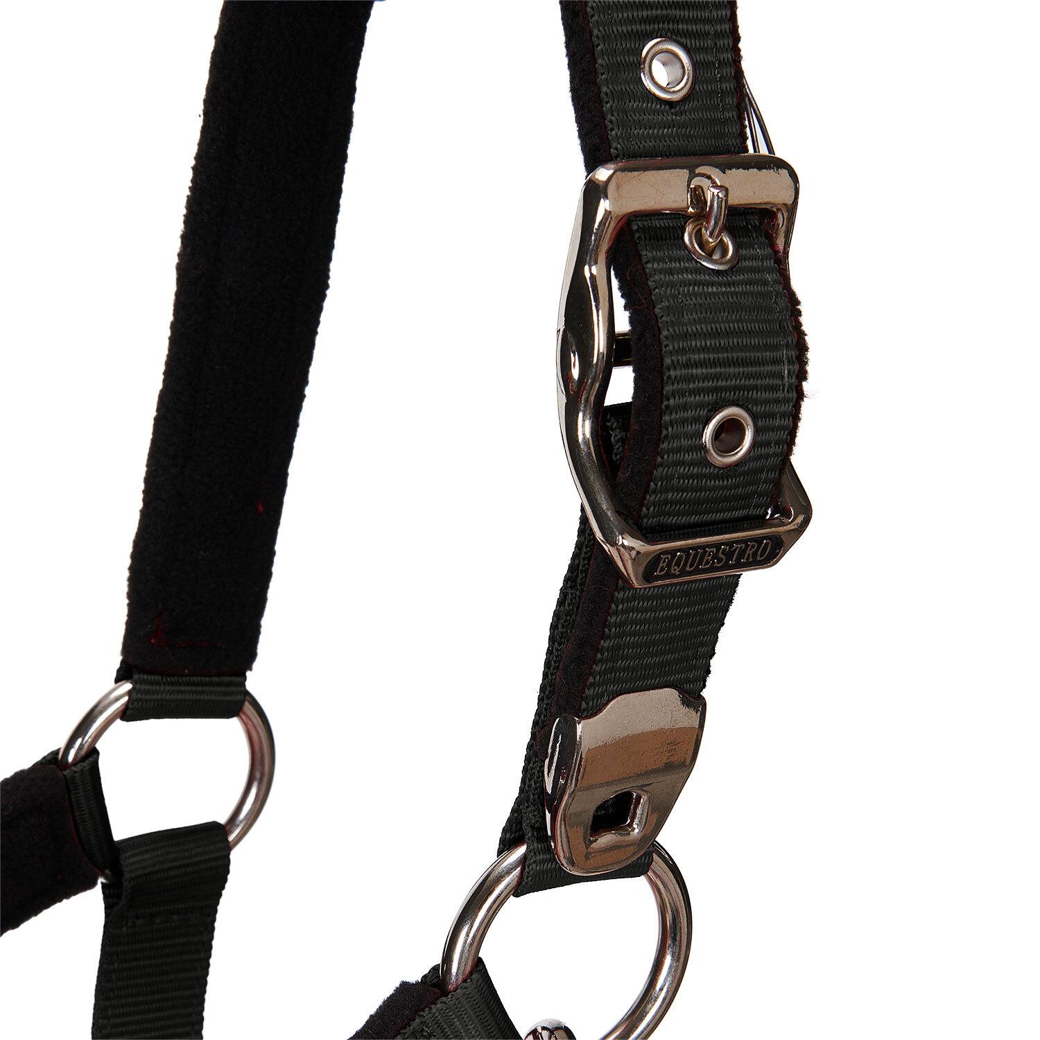 product/e/q/equestro_ca00032-black_black_5.jpg