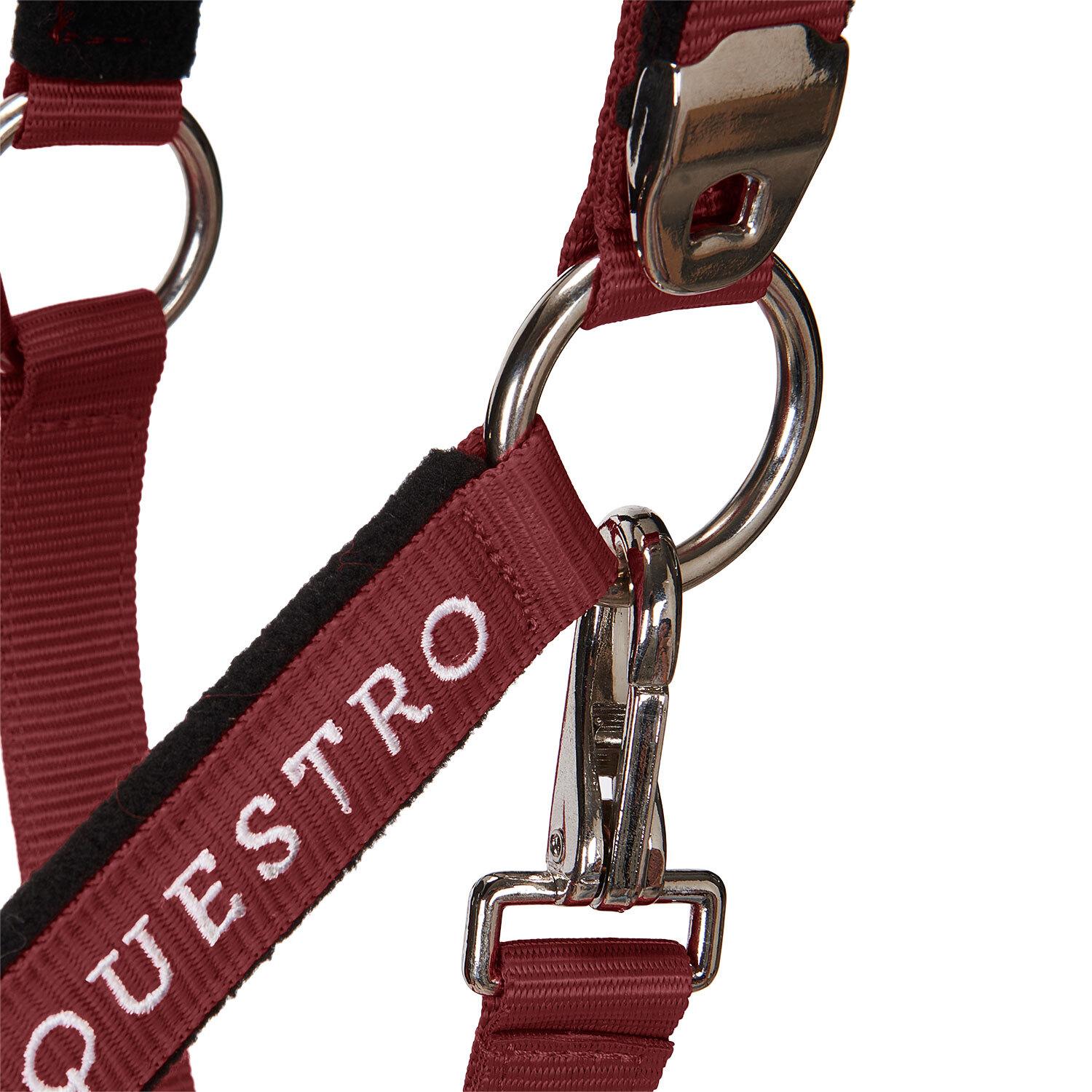 product/e/q/equestro_ca00032-burgundy_burgundy_6.jpg