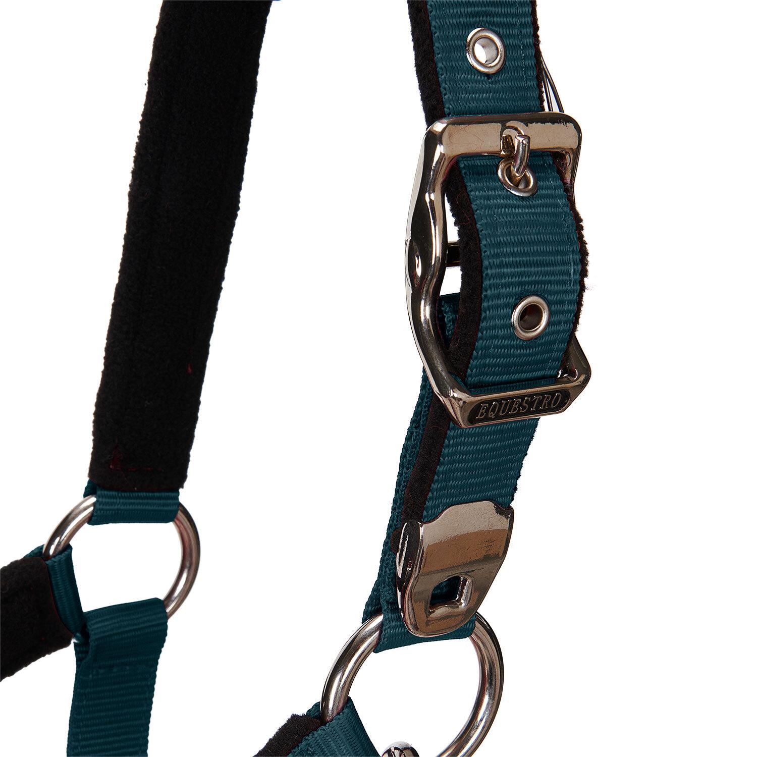 product/e/q/equestro_ca00032-huntergreen_huntergreen_5.jpg