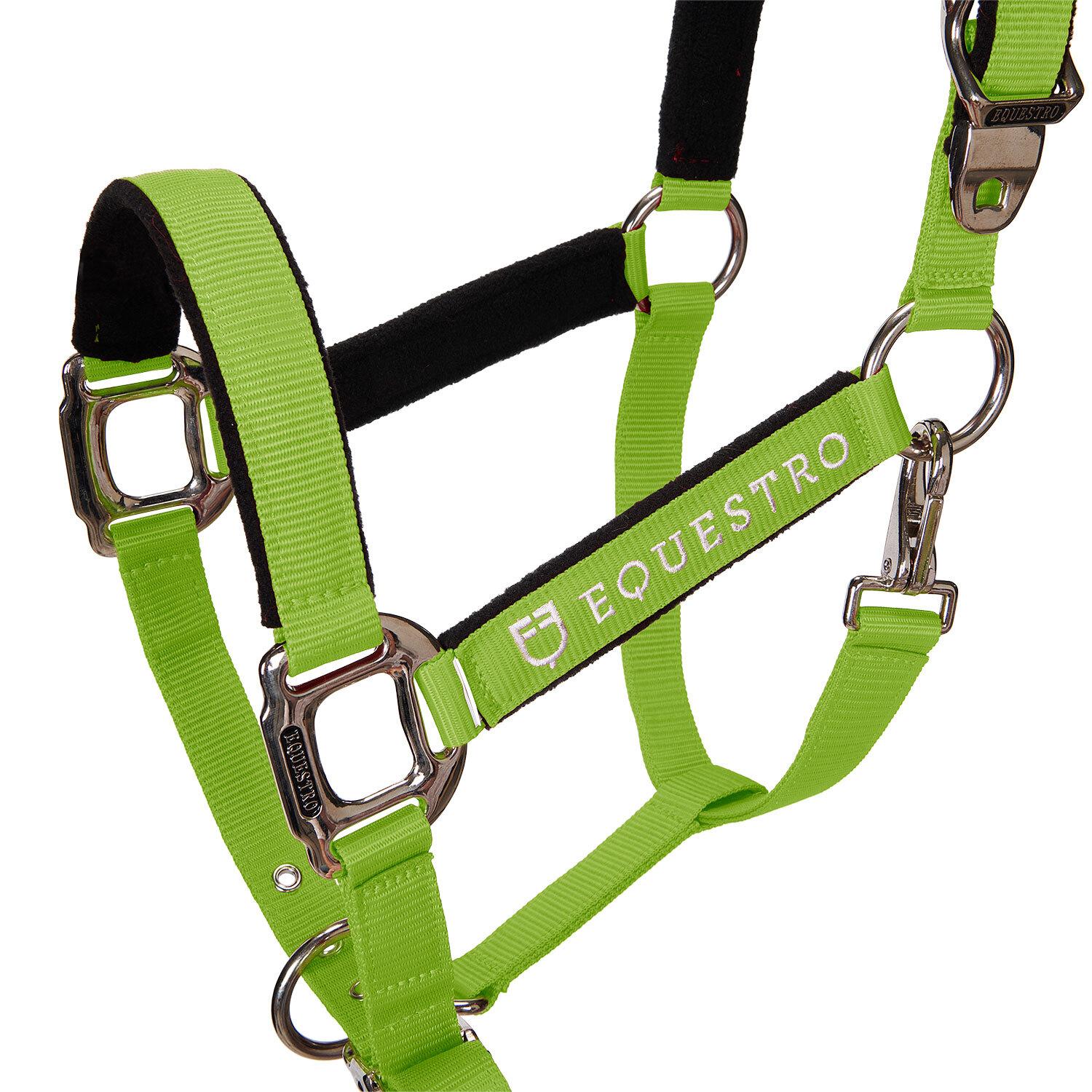 product/e/q/equestro_ca00032-lime_lime_2.jpg