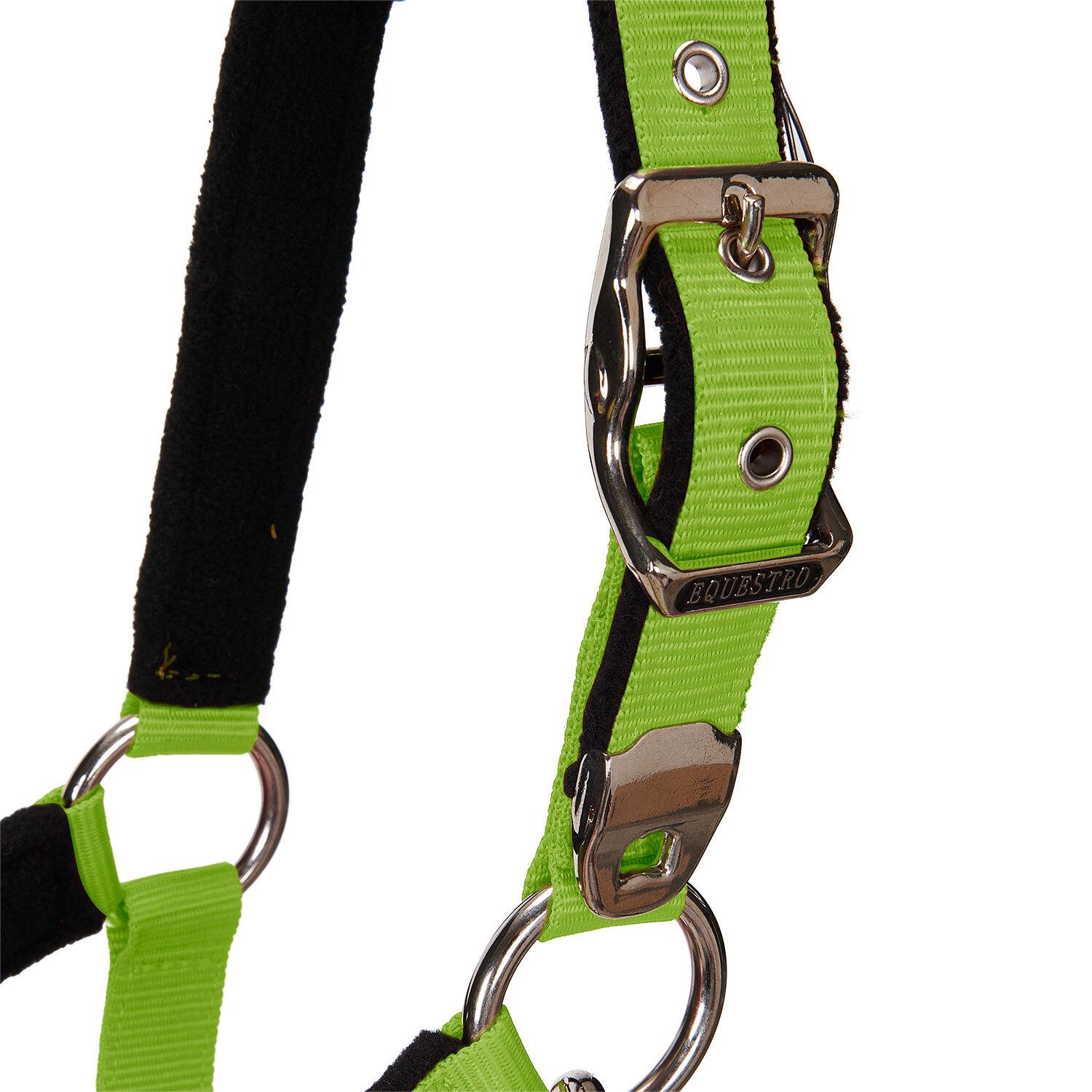 product/e/q/equestro_ca00032-lime_lime_5.jpg