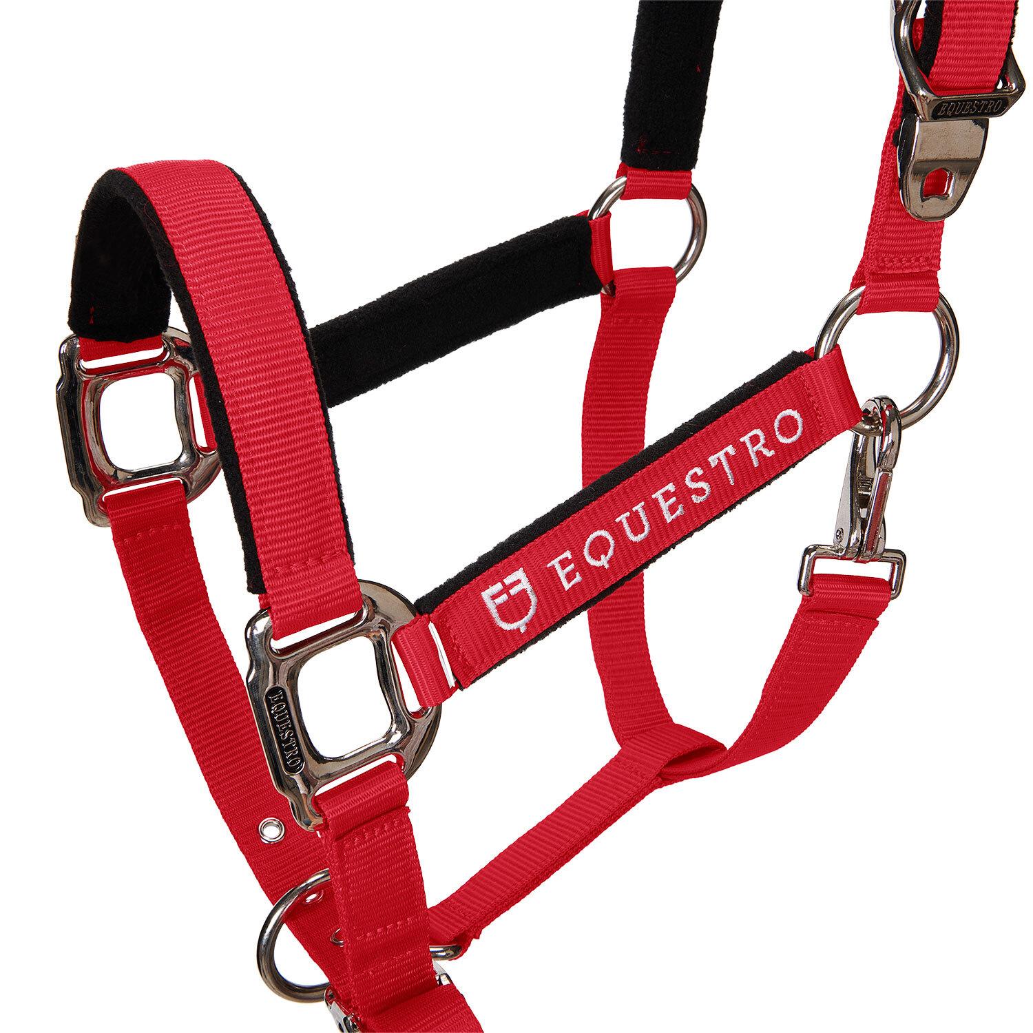 product/e/q/equestro_ca00032-red_red_2.jpg