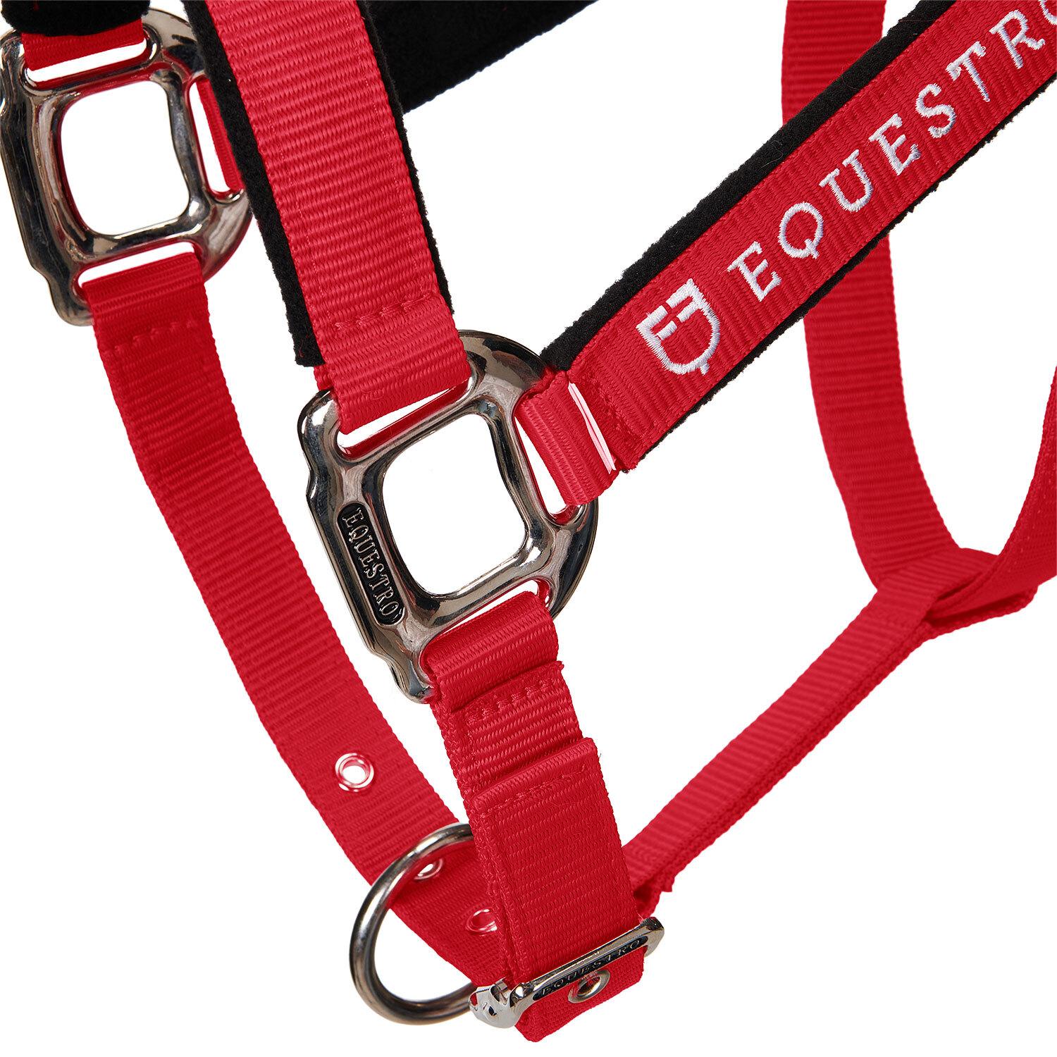 product/e/q/equestro_ca00032-red_red_7.jpg