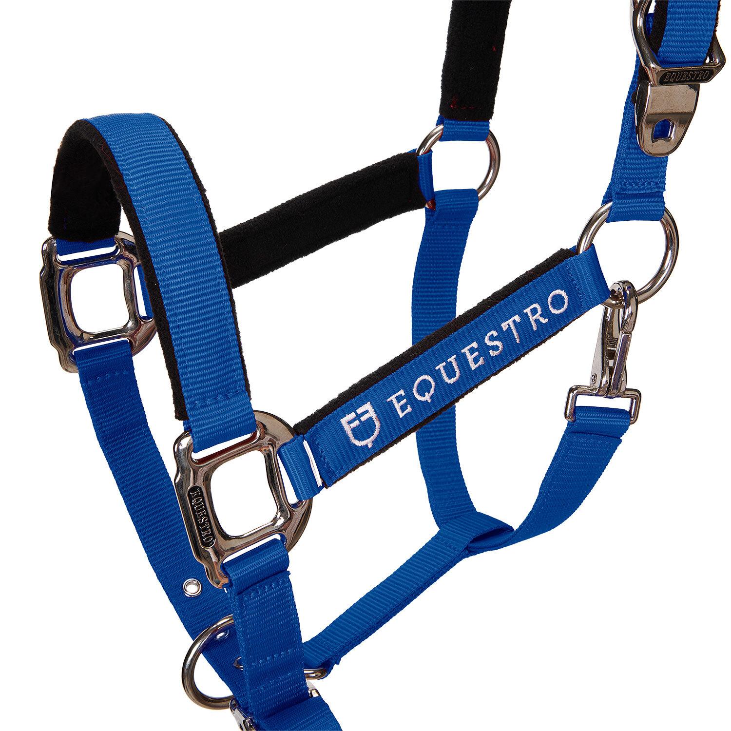 product/e/q/equestro_ca00032-royalblue_royalblue_2.jpg