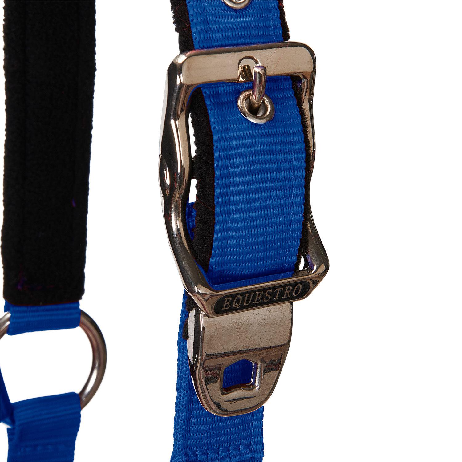 product/e/q/equestro_ca00032-royalblue_royalblue_3.jpg
