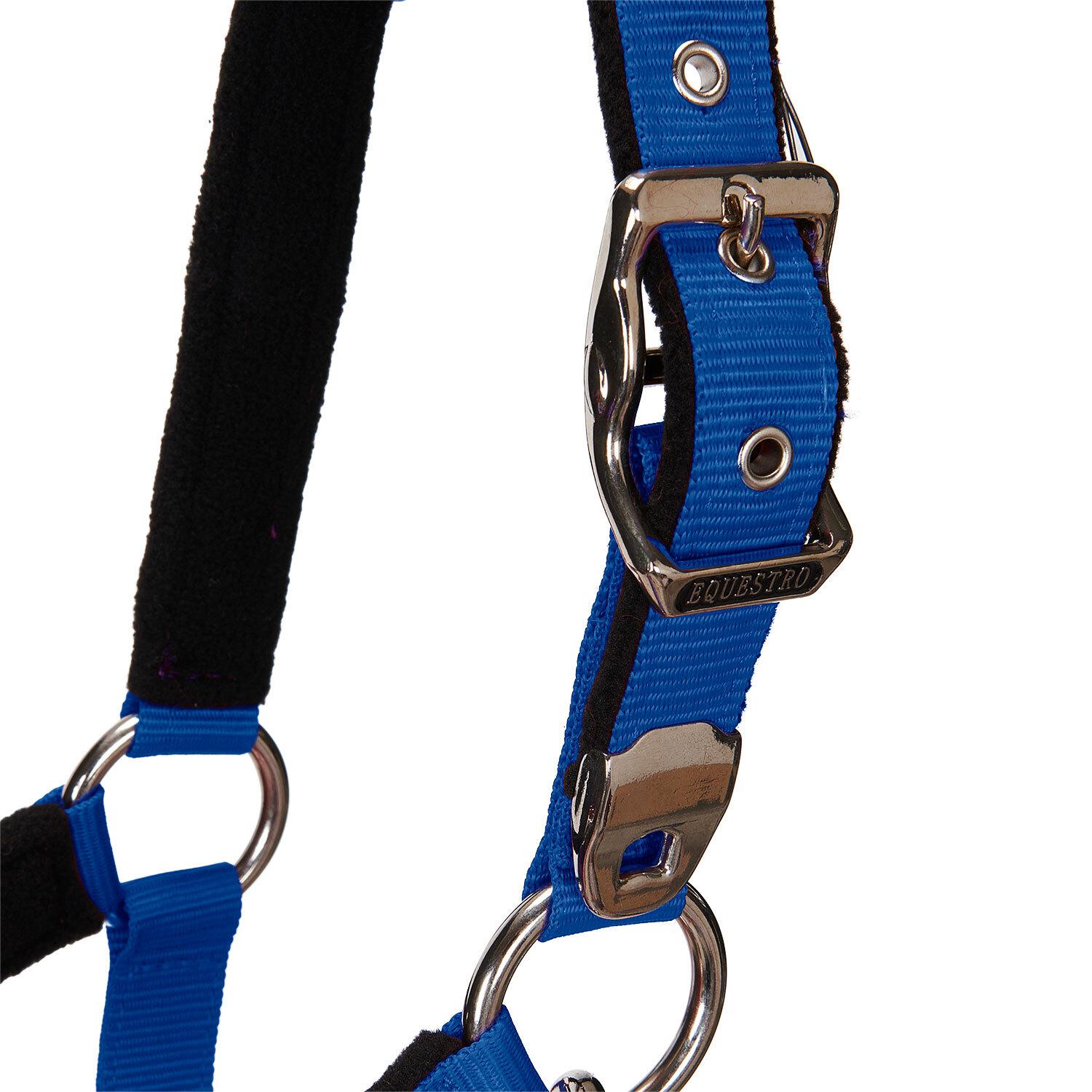 product/e/q/equestro_ca00032-royalblue_royalblue_5.jpg