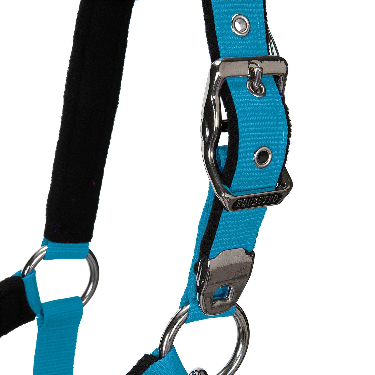 product/e/q/equestro_ca00032-turquoise_turquoise_5.jpg