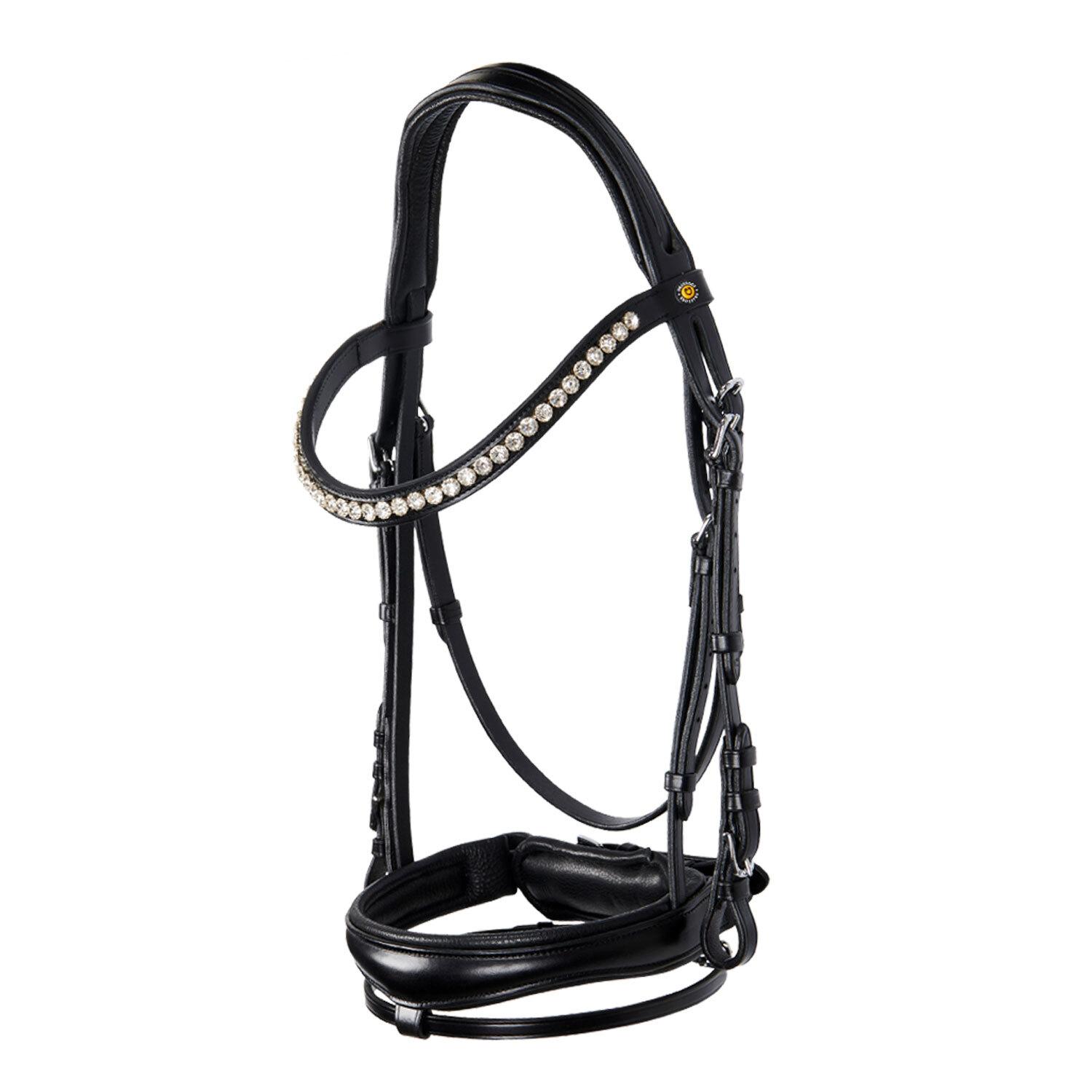 product/e/q/equestro_et01510n-black_black_2.jpg