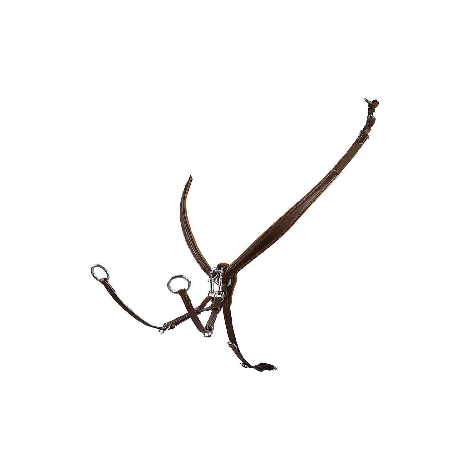 product/e/q/equestro_et02000-darkbrown_darkbrown_1.jpg