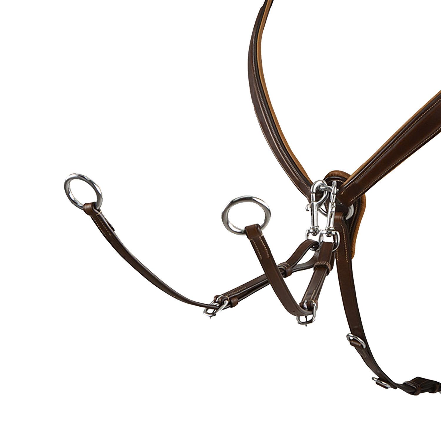 product/e/q/equestro_et02000-darkbrown_darkbrown_2.jpg