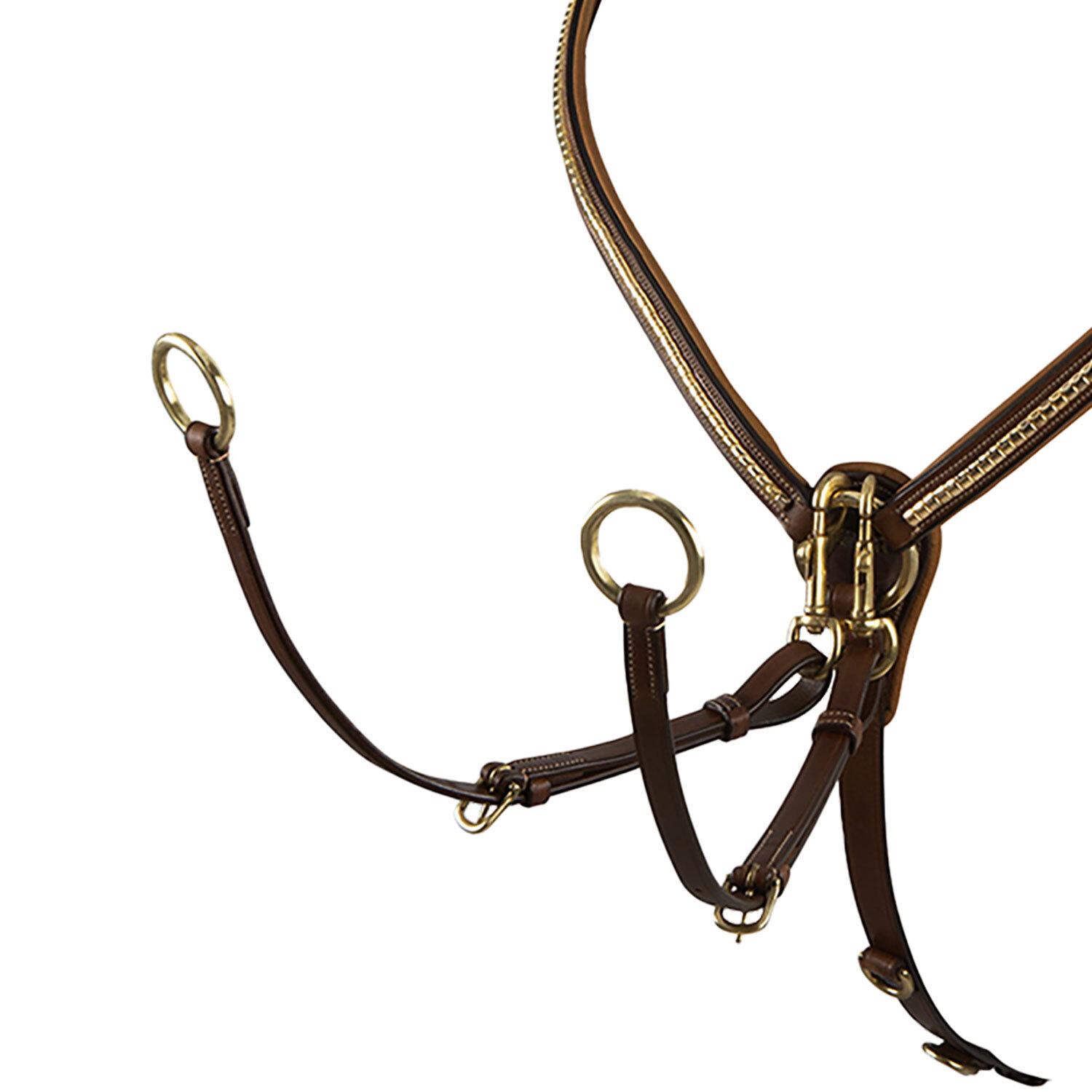 product/e/q/equestro_et02011-darkbrown_darkbrown_2.jpg
