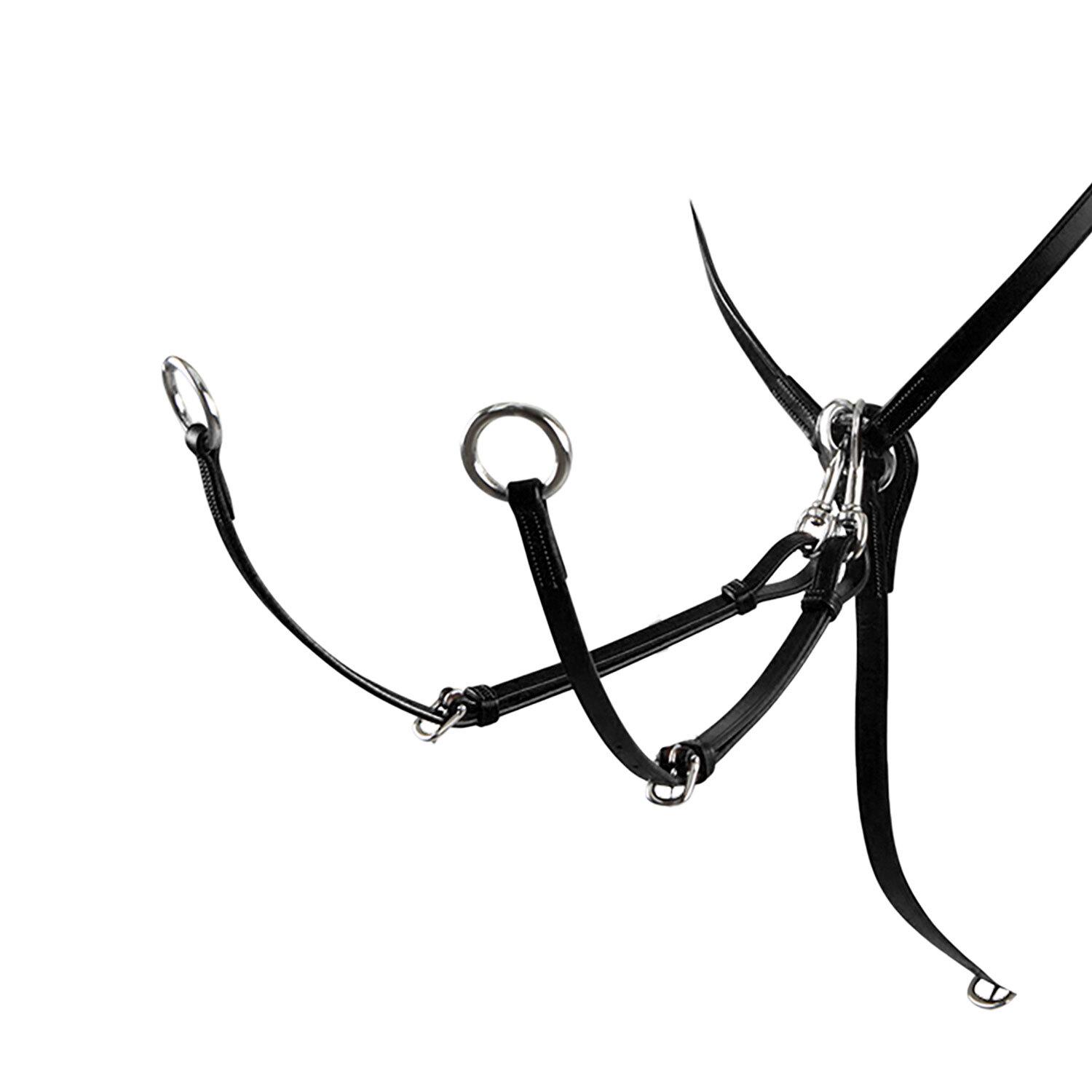 product/e/q/equestro_et02060-black_et02060-noir_2.jpg