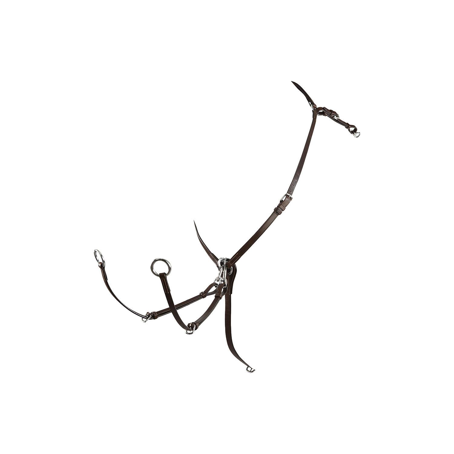 product/e/q/equestro_et02060-darkbrown_et02060-darkbrown_1.jpg