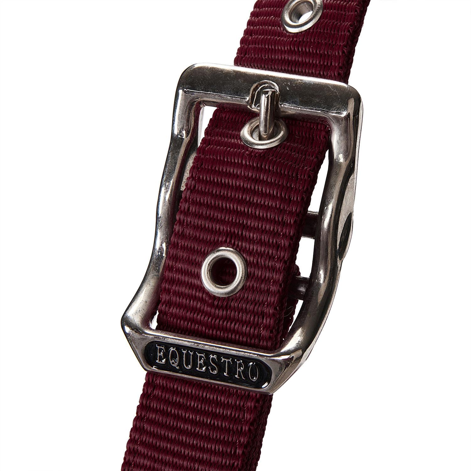 product/e/q/equestro_et05400-burgundy_et05400-burgundy_3.jpg