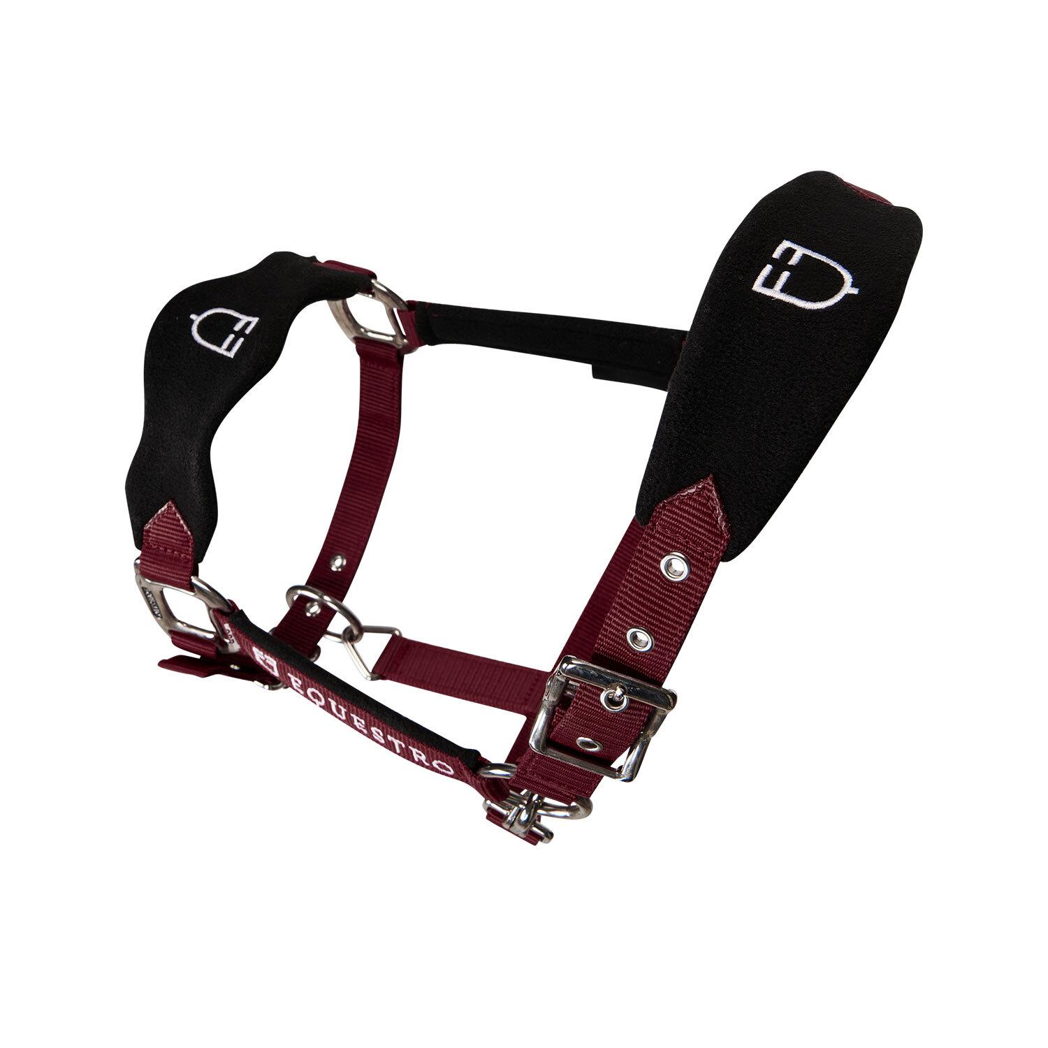 product/e/q/equestro_et05400-burgundy_et05400-burgundy_4.jpg