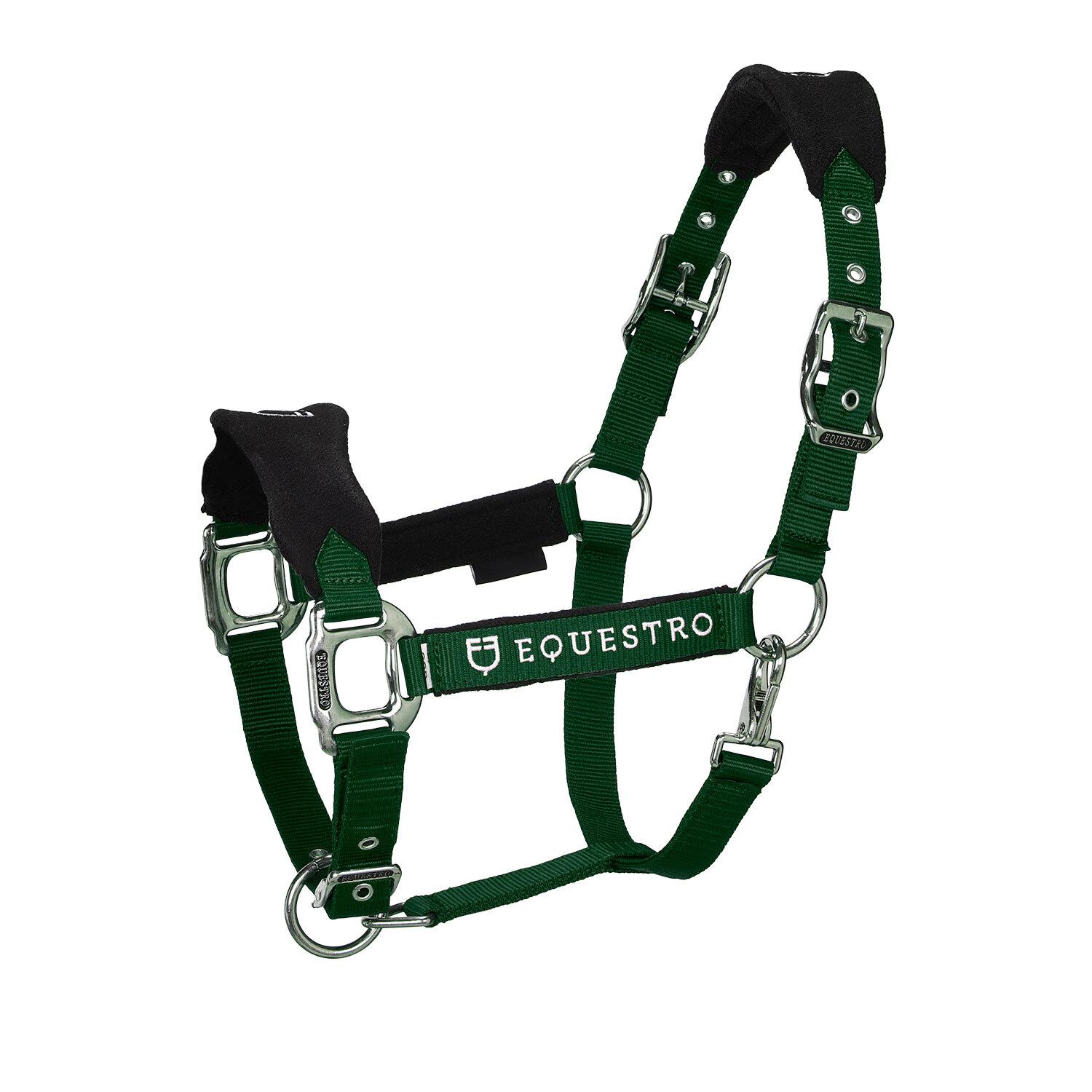 product/e/q/equestro_et05400-green_et05400-green_1.jpg