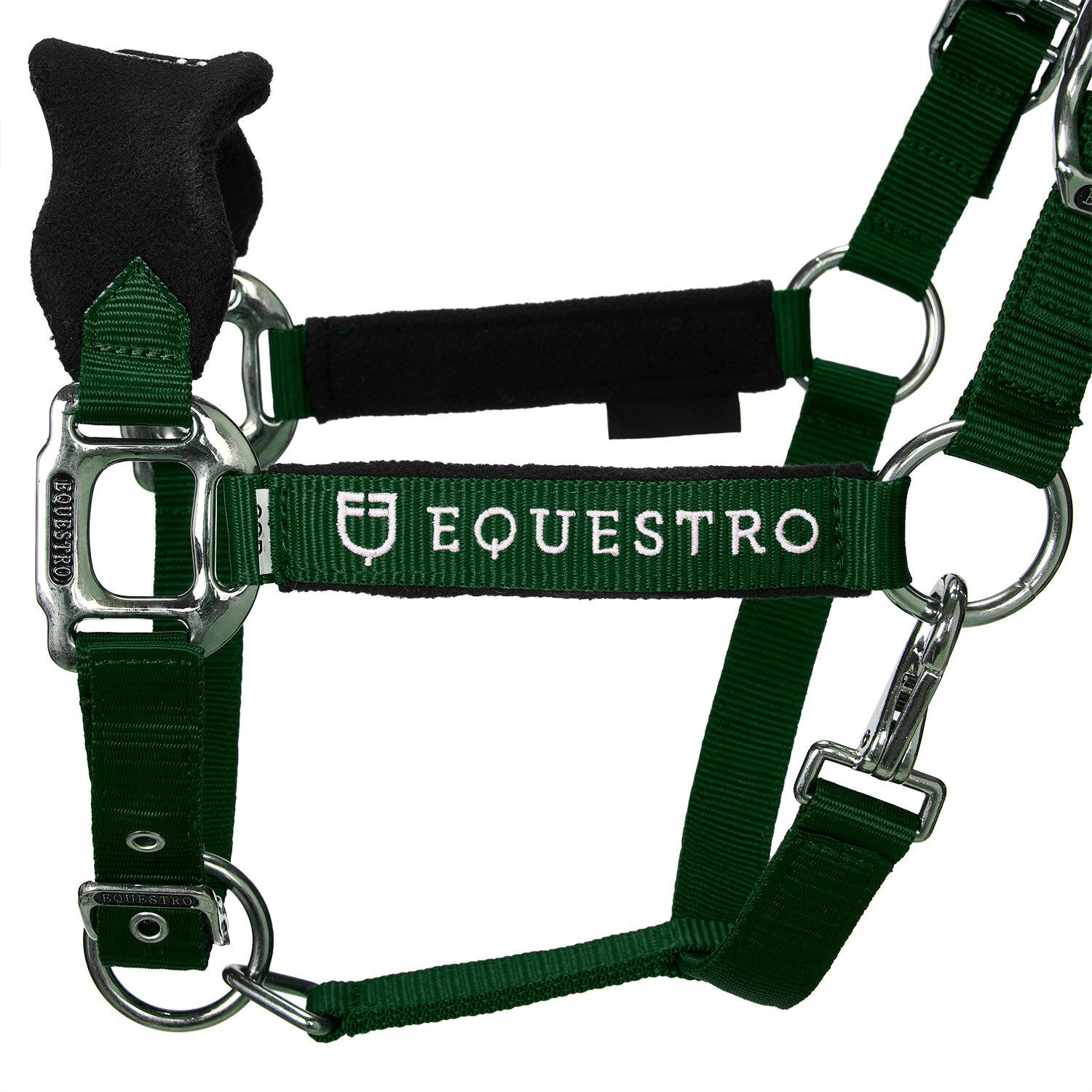 product/e/q/equestro_et05400-green_et05400-green_2.jpg