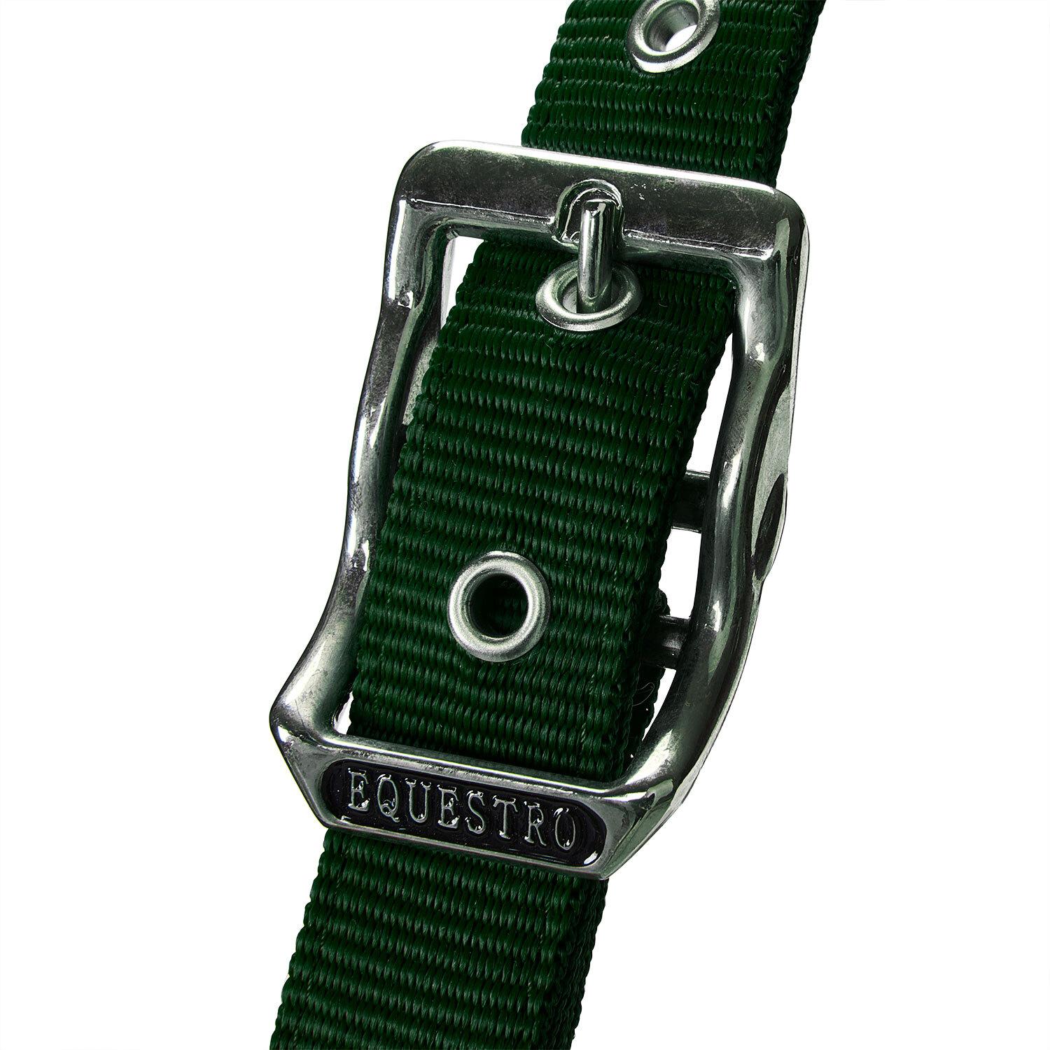 product/e/q/equestro_et05400-green_et05400-green_3.jpg