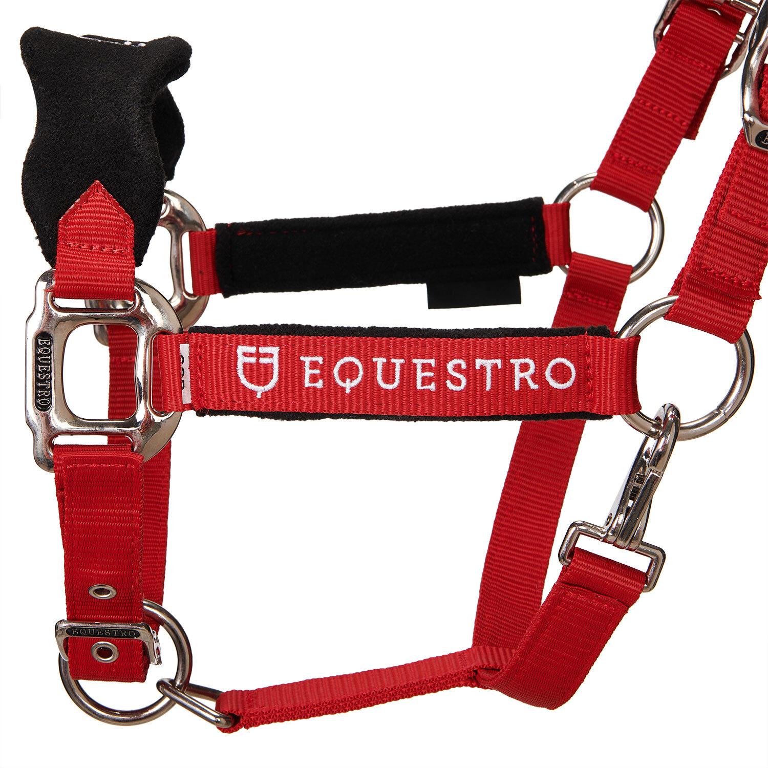 product/e/q/equestro_et05400-red_et05400-red_2.jpg
