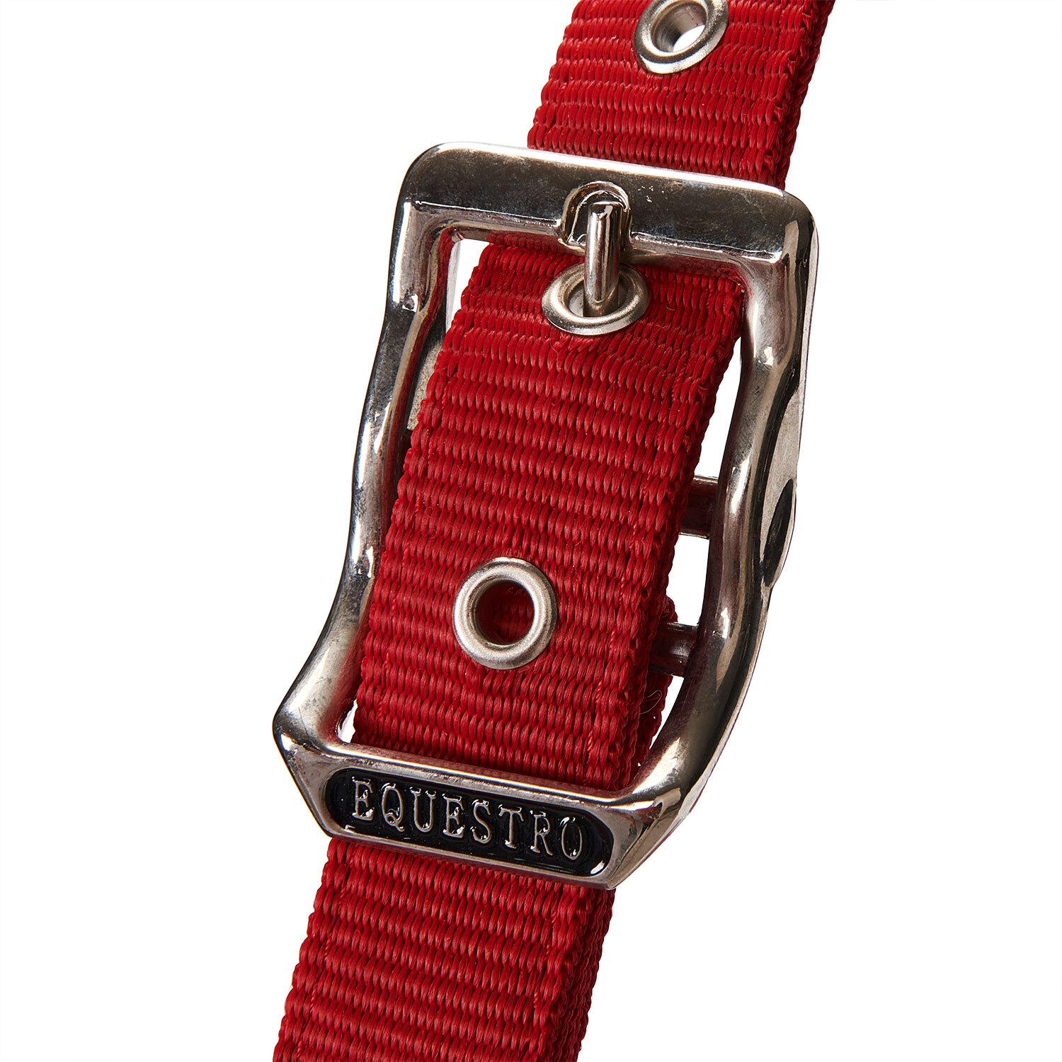 product/e/q/equestro_et05400-red_et05400-red_3.jpg
