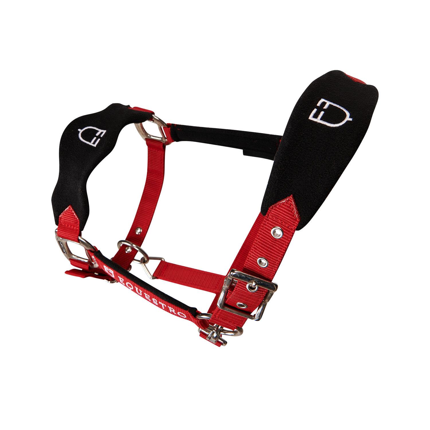 product/e/q/equestro_et05400-red_et05400-red_4.jpg