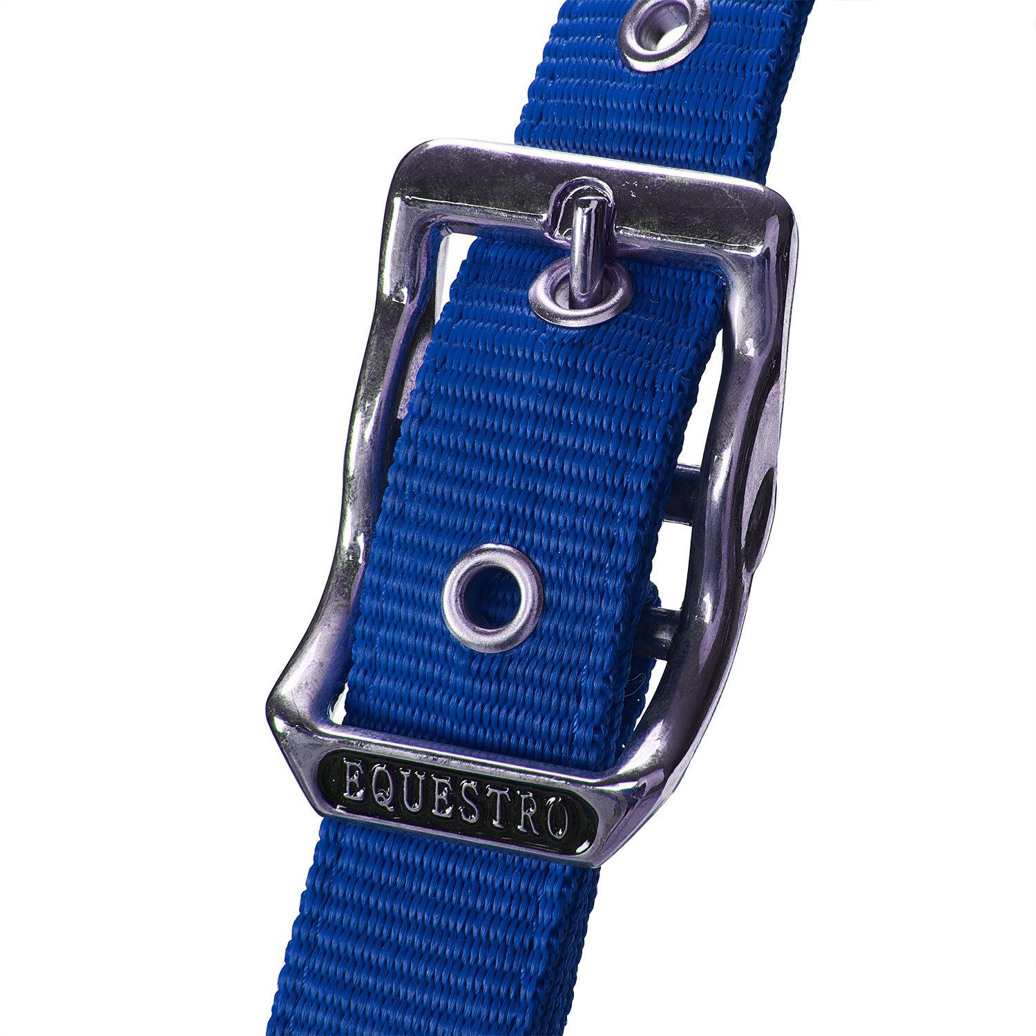 product/e/q/equestro_et05400-royalblue_et05400-royalblue_3.jpg