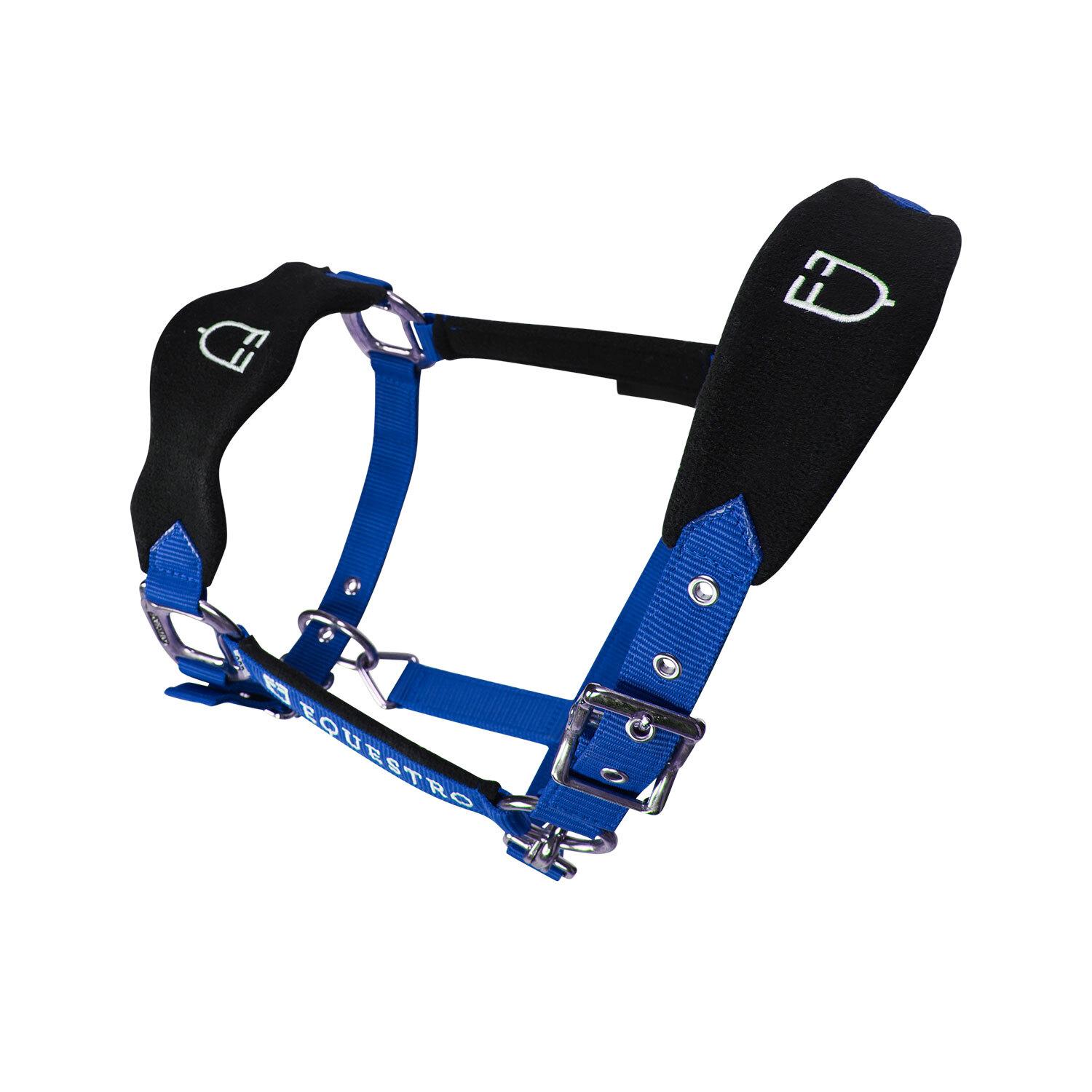 product/e/q/equestro_et05400-royalblue_et05400-royalblue_4.jpg