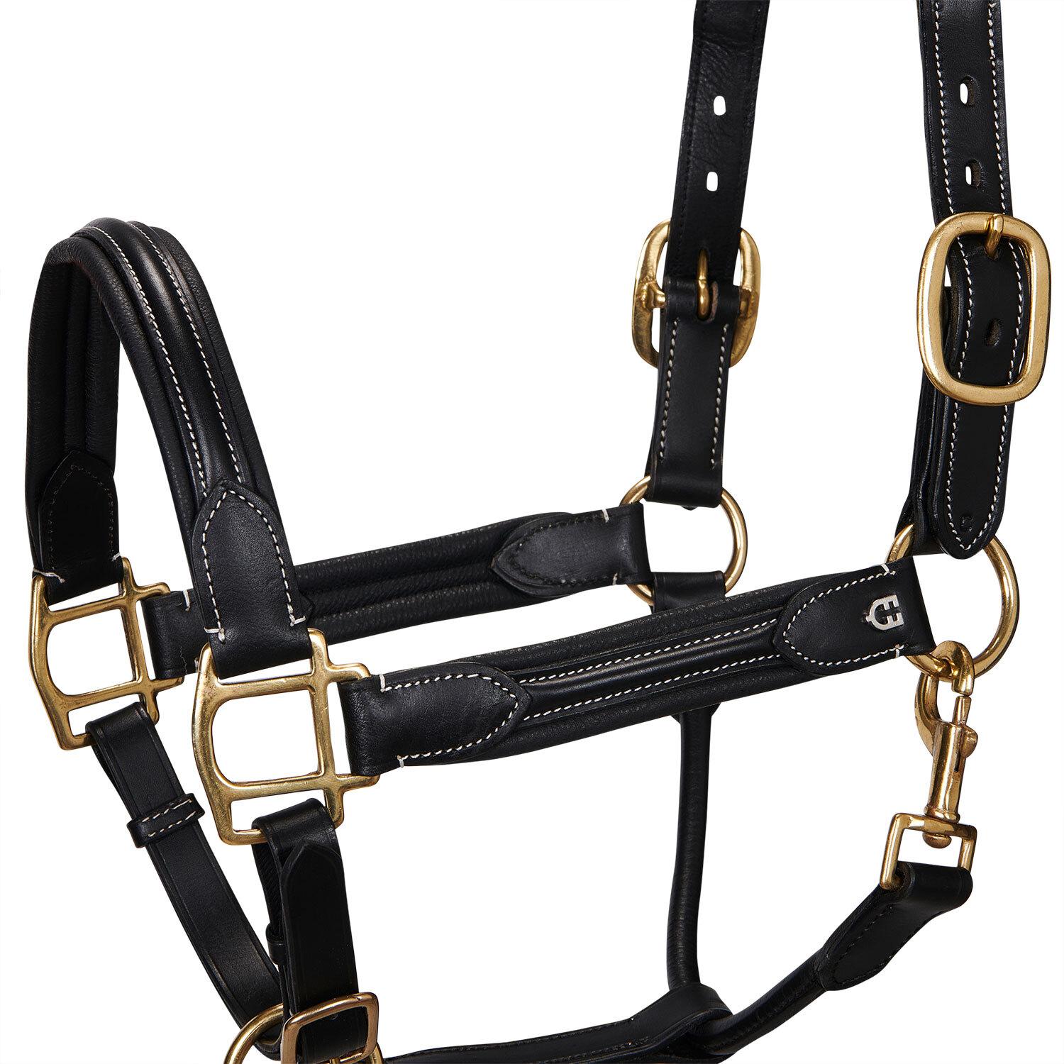 product/e/q/equestro_et05450-black_et05450-black_1.jpg