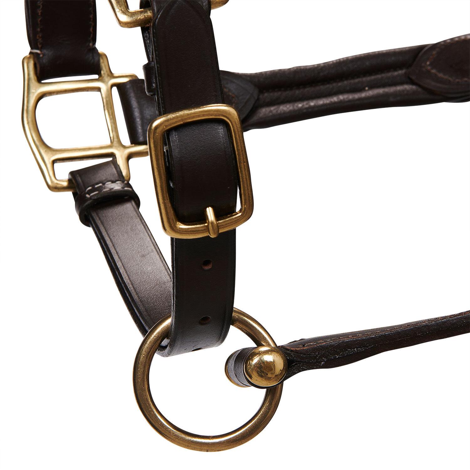 product/e/q/equestro_et05450-darkbrown_et05450-darkbrown_3.jpg