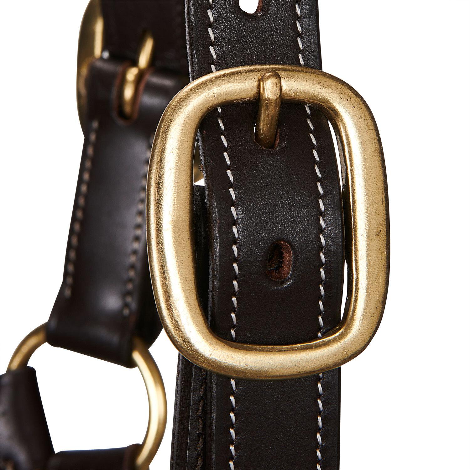 product/e/q/equestro_et05450-darkbrown_et05450-darkbrown_4.jpg