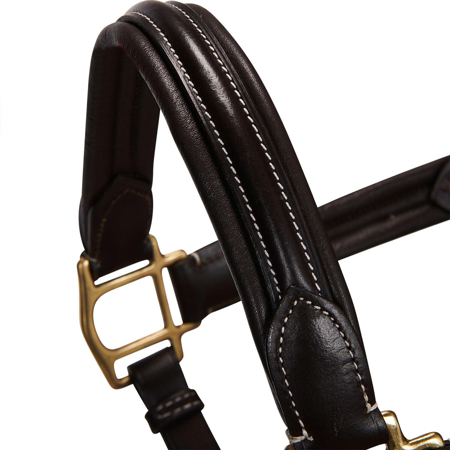 product/e/q/equestro_et05450-darkbrown_et05450-darkbrown_5.jpg
