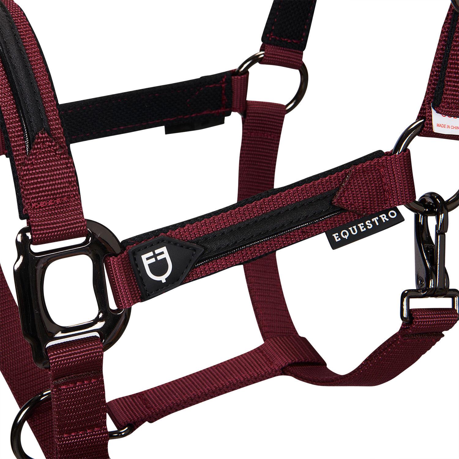 product/e/q/equestro_et08600-burgundy_et08600-burgundy_2.jpg
