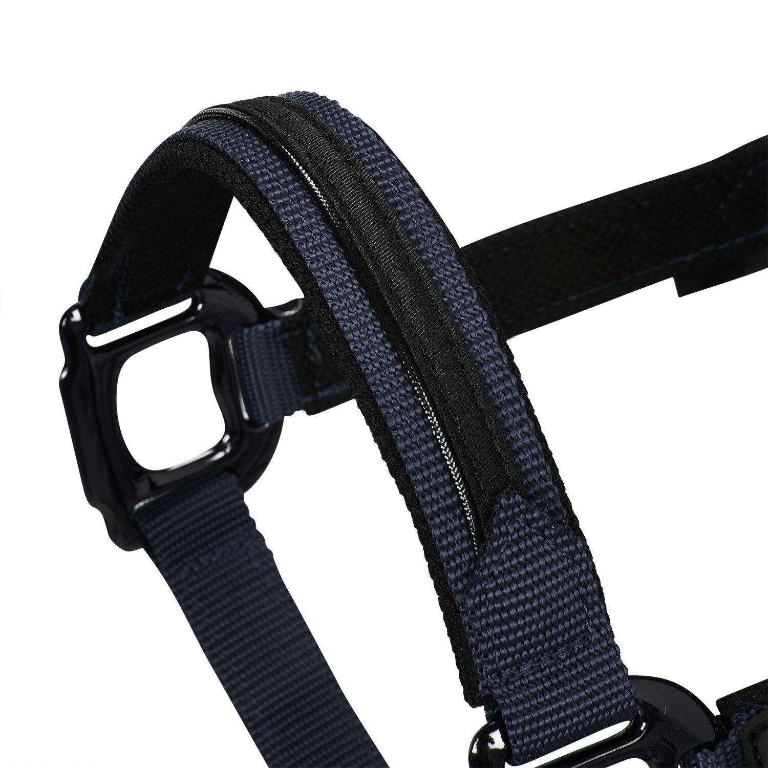 product/e/q/equestro_et08600-navy_et08600-navy_3.jpg