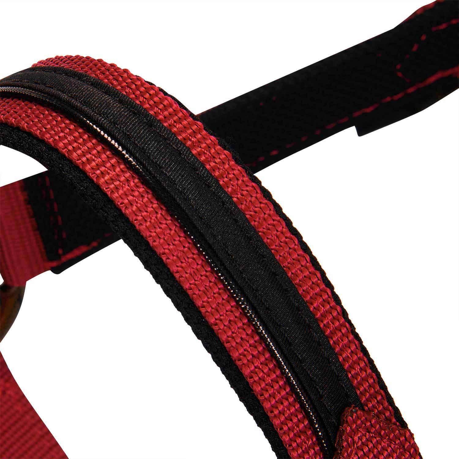 product/e/q/equestro_et08600-red_et08600-red_5.jpg