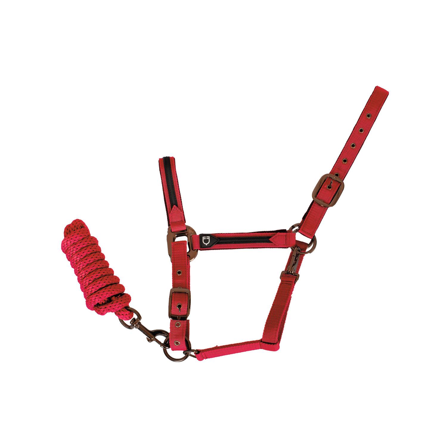 product/e/q/equestro_et08600-red_et08600-red_7.jpg