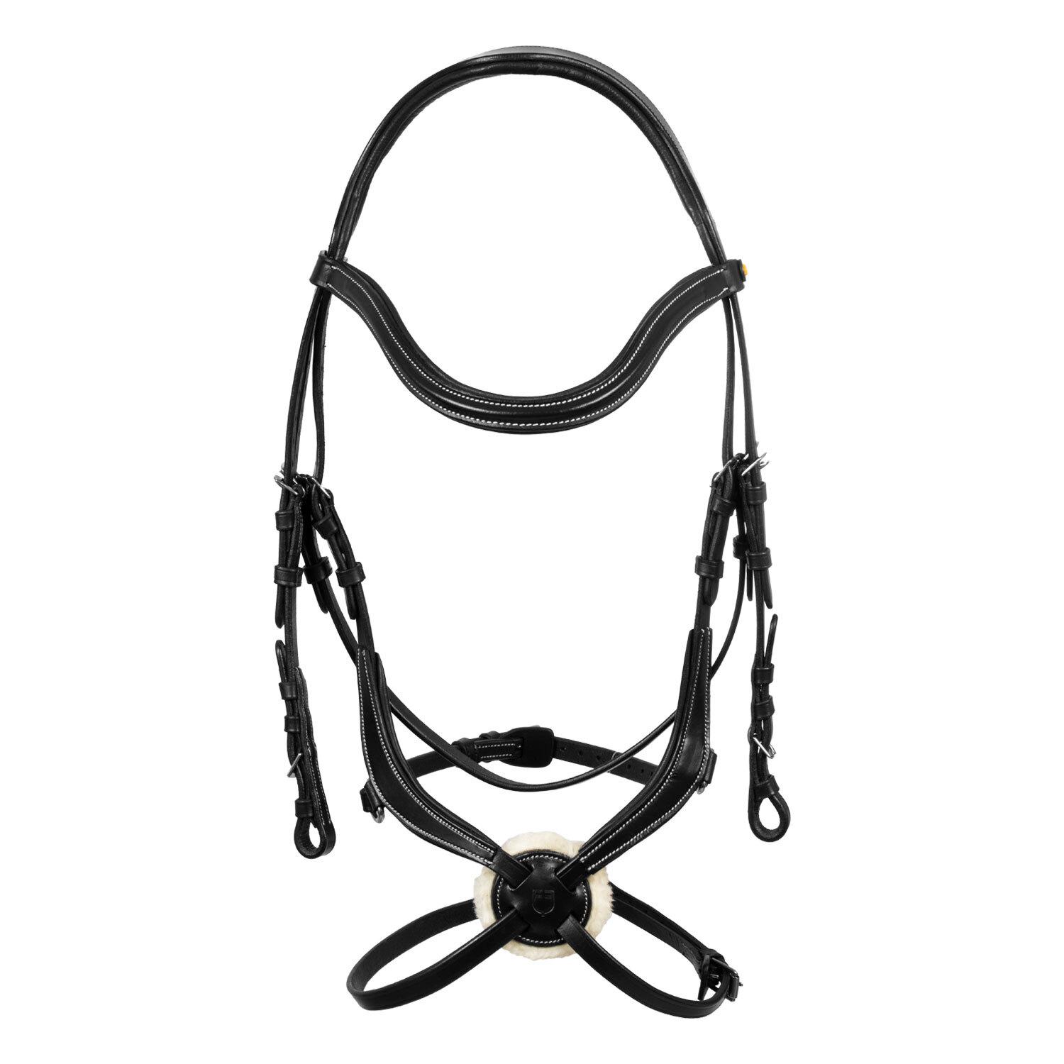 product/e/q/equestro_eth01011-black_black_2.jpg