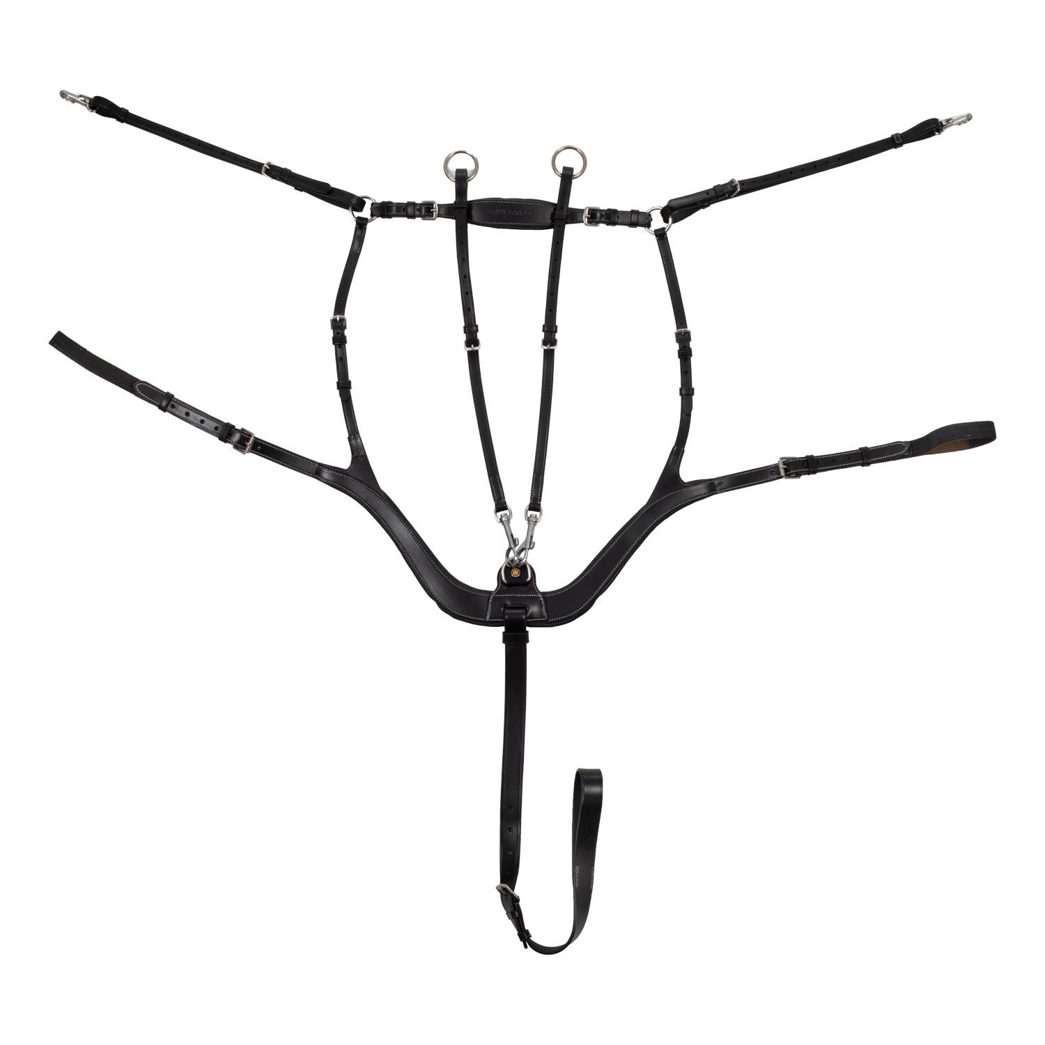 product/e/q/equestro_eth02002-black_black_1.jpg