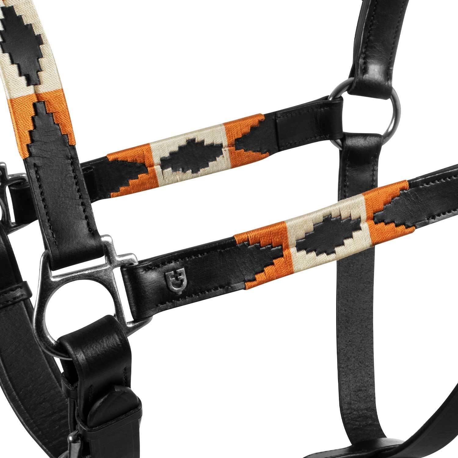 product/e/q/equestro_eth03001-black_black_2.jpg